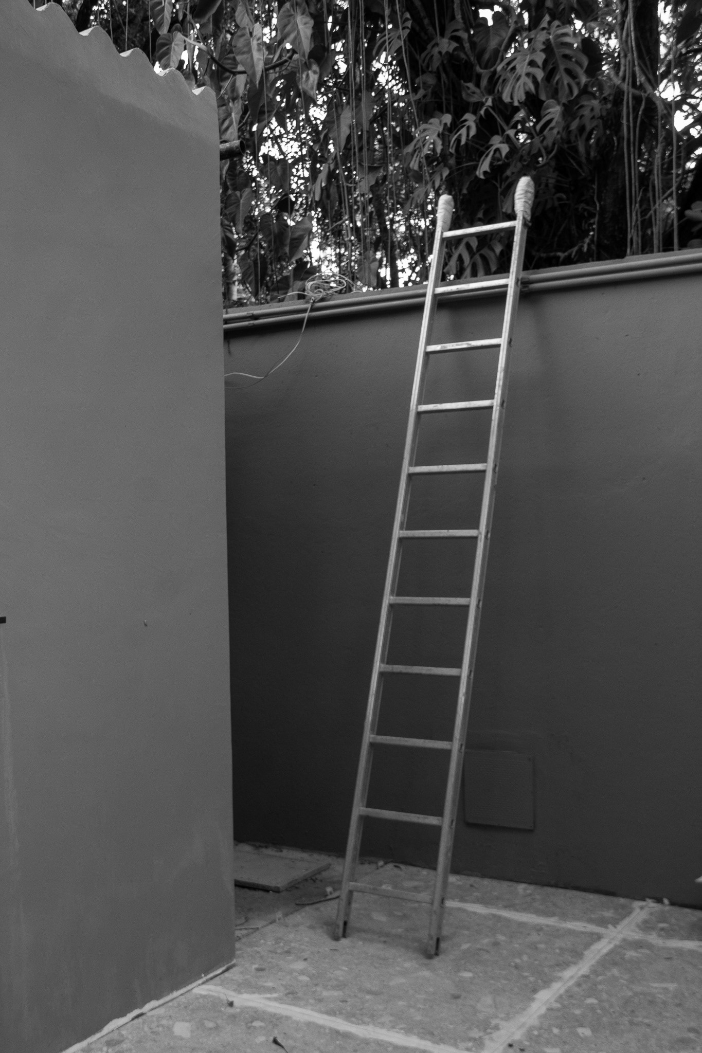 Starlane SP, March 2025 - São Paulo, BR