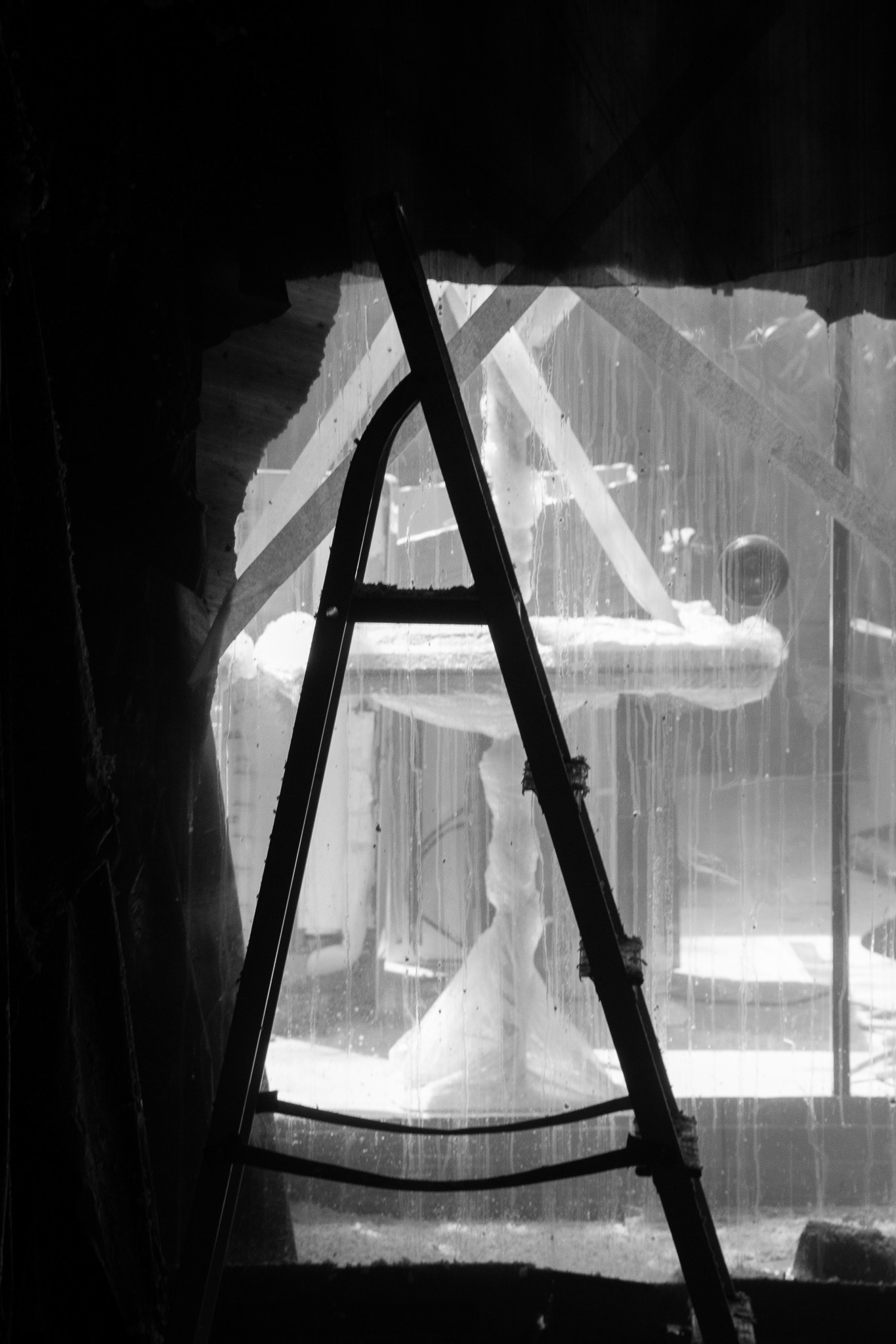 Starlane SP, March 2025 - São Paulo, BR