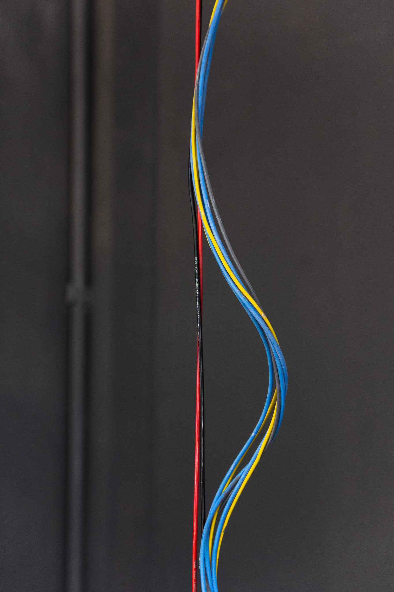 Starlane SP, March 2025 - São Paulo, BR