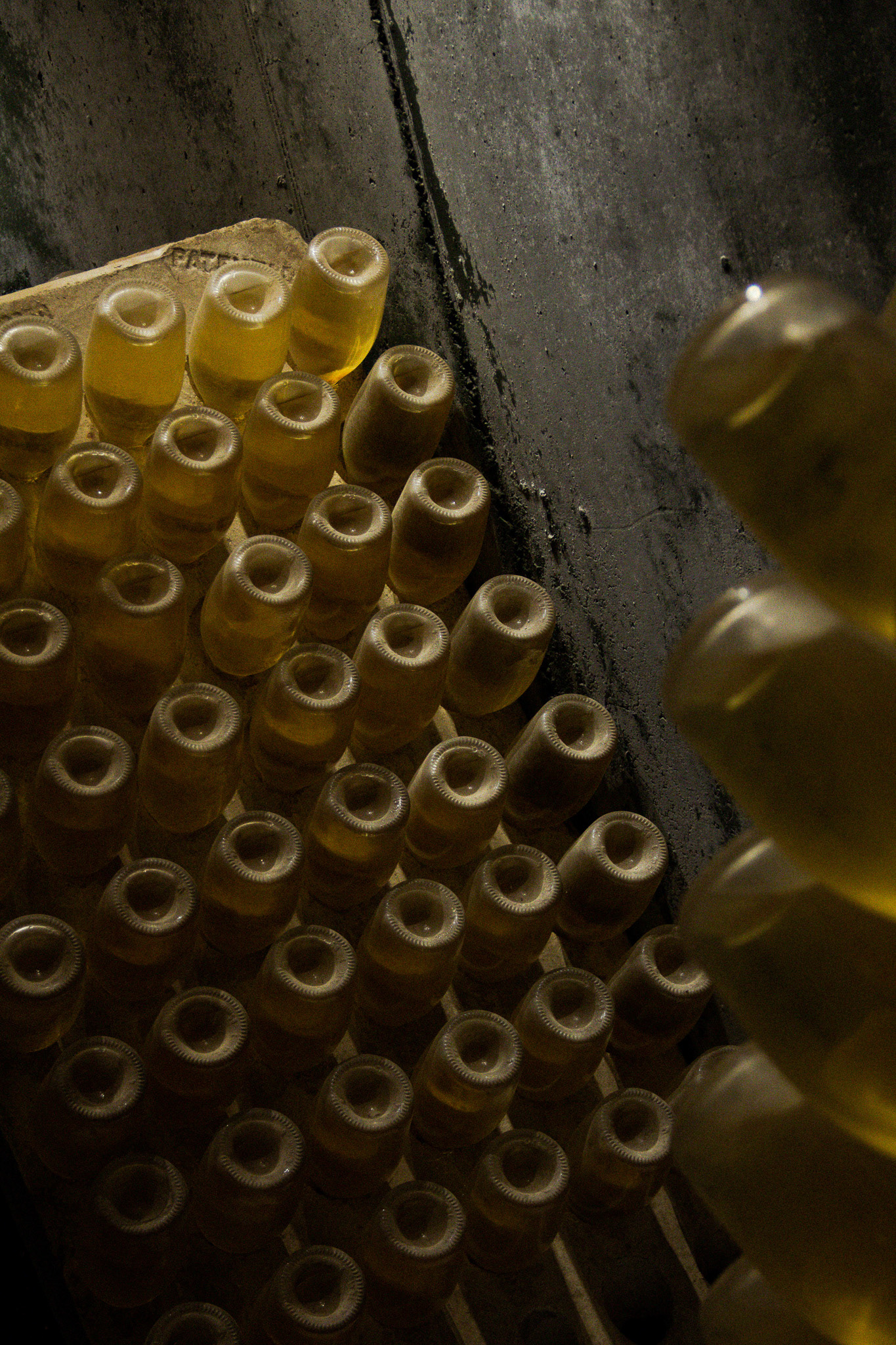 Día de Cavas, April 2024 for TheBasement & Laaso - Barcelona, ES