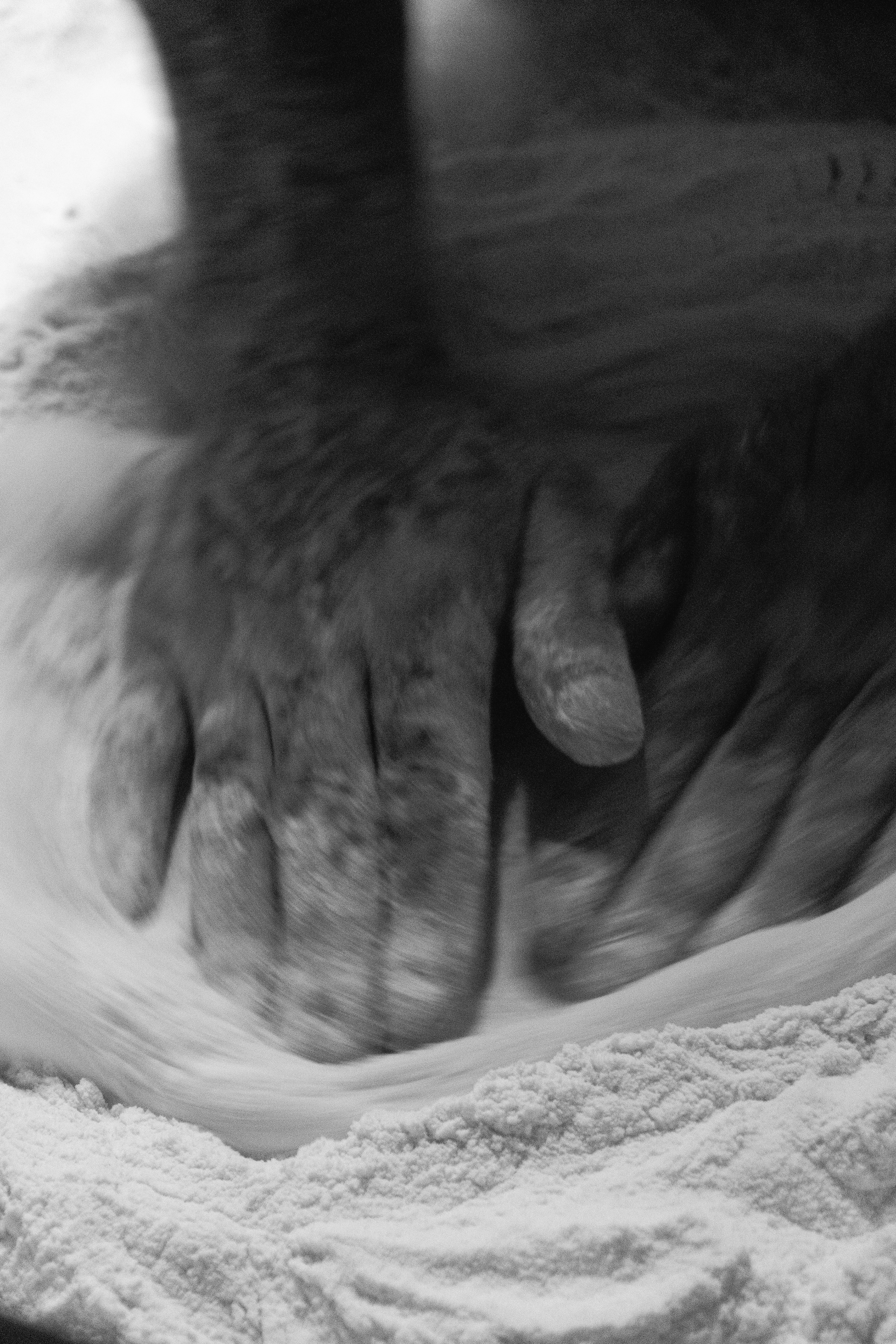 Starlane SP, September 2025 - São Paulo, BR