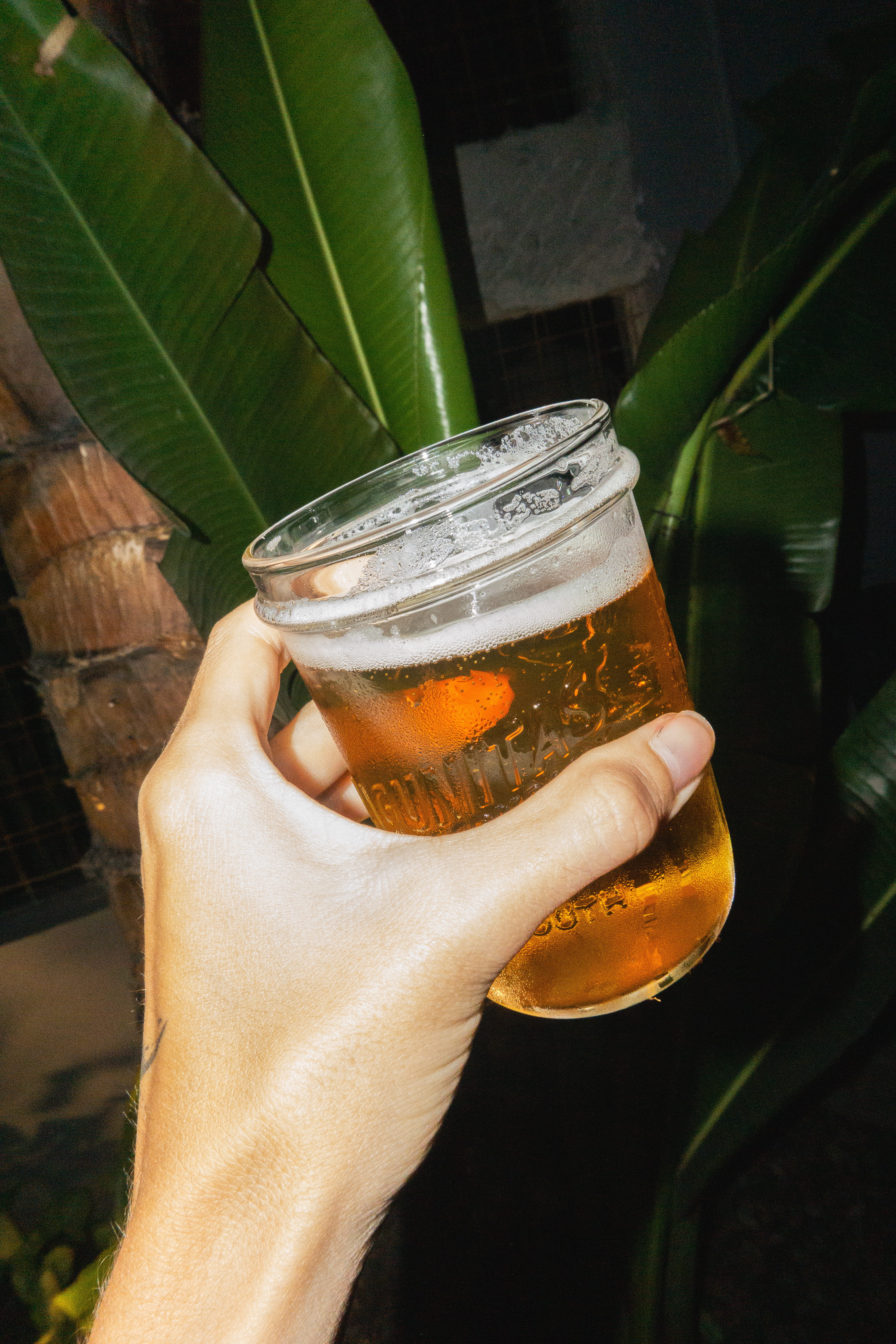 Starlane SP, September 2025 - São Paulo, BR