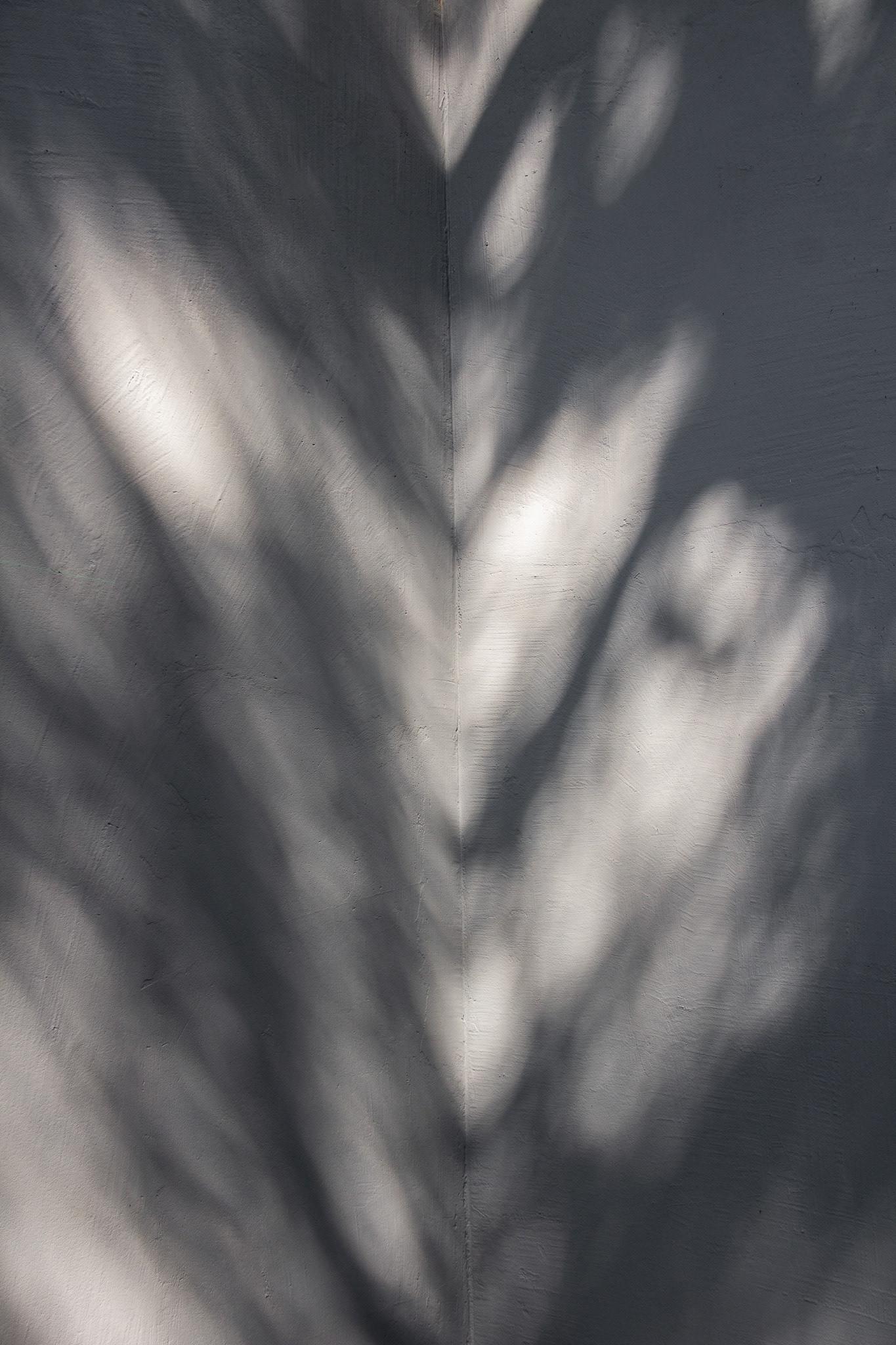 Starlane SP, March 2025 - São Paulo, BR