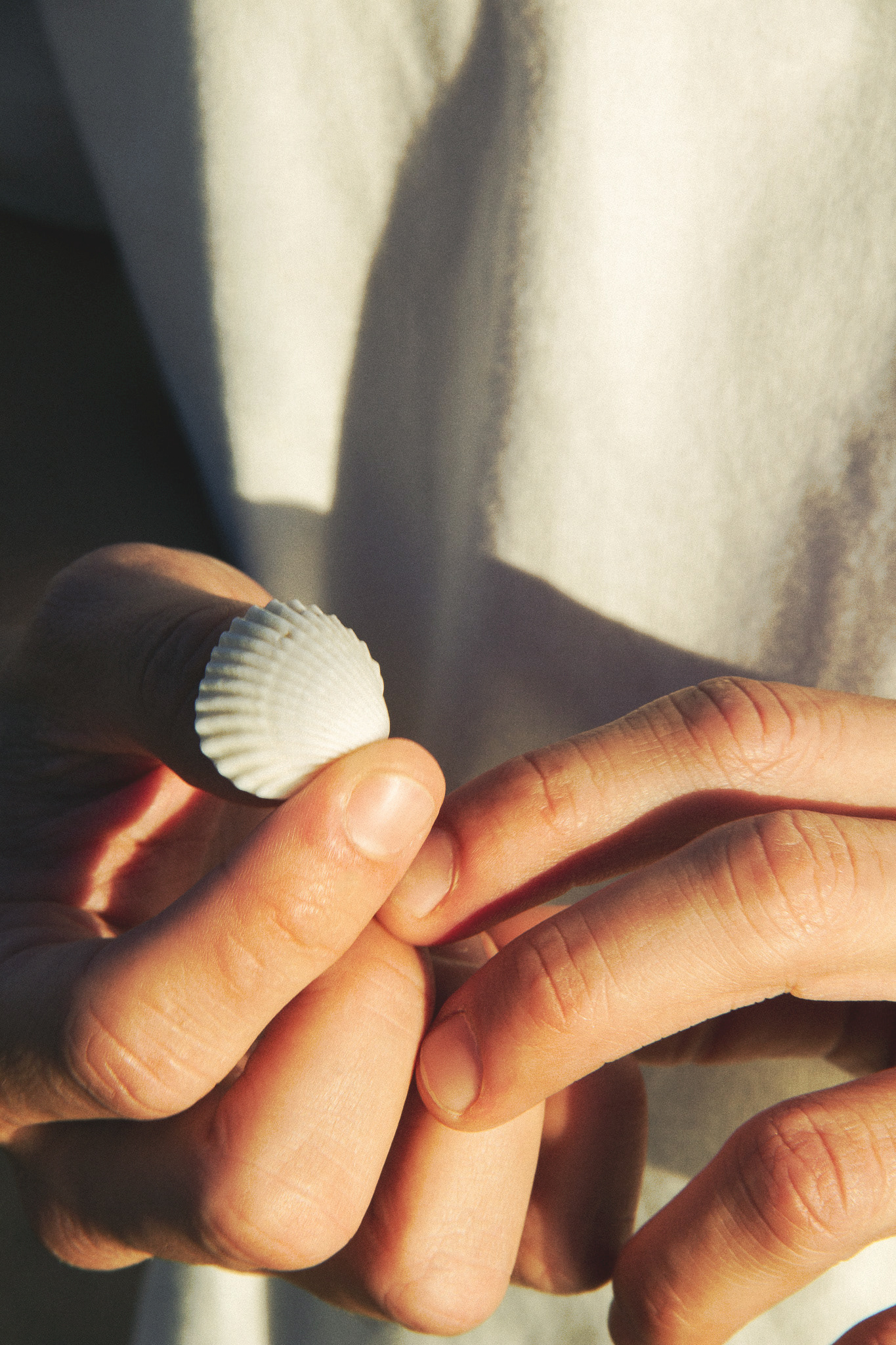 Breasy, December 2024 - Barcelona, ES