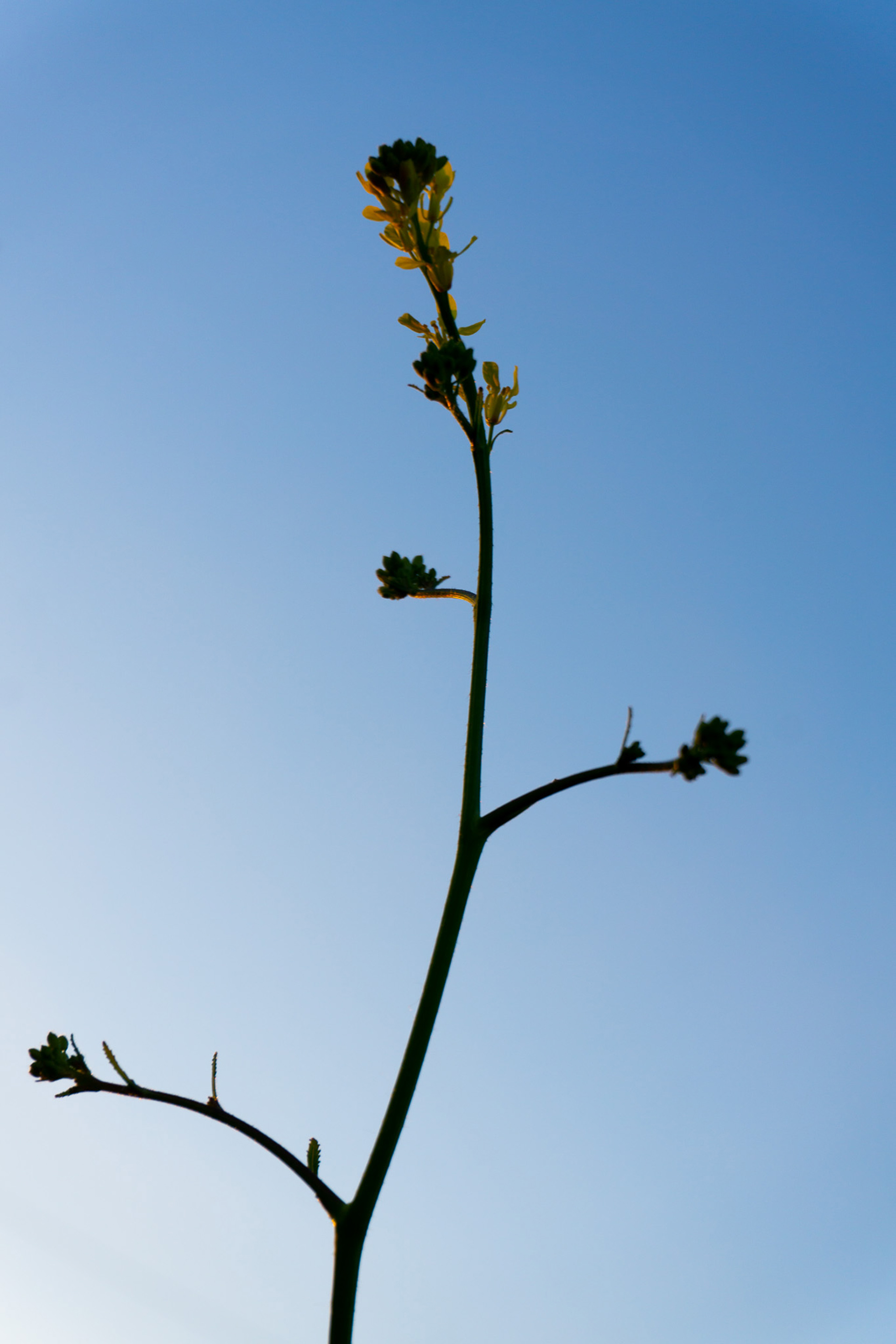 thePlaya for theBasement, May 2025 - Barcelona, ES