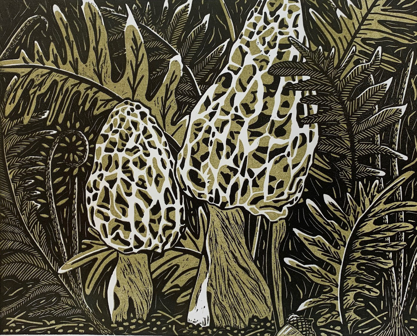 Morel - Erin Shaeffer, GCC Student