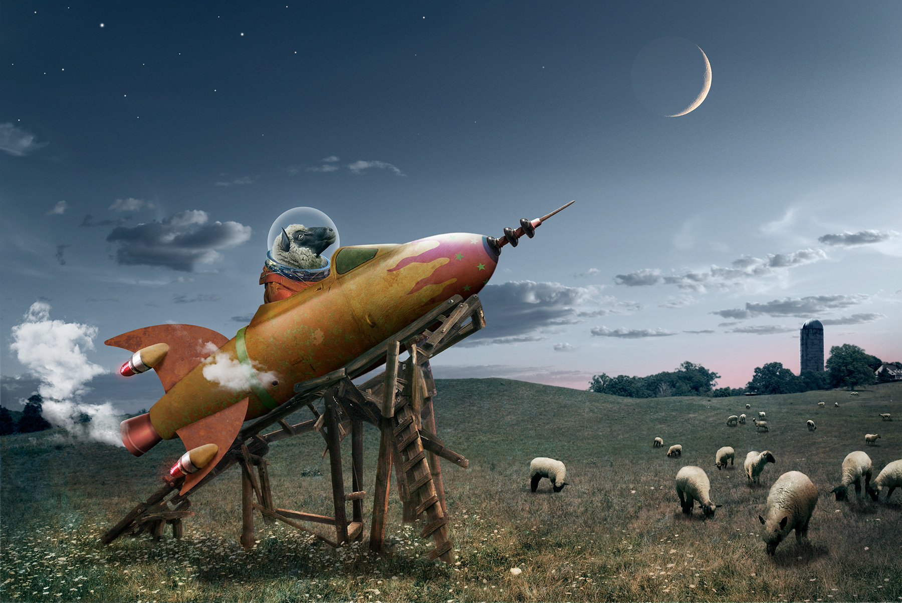 Out Of This Wooled - Tom Klare, MCC Faculty Member