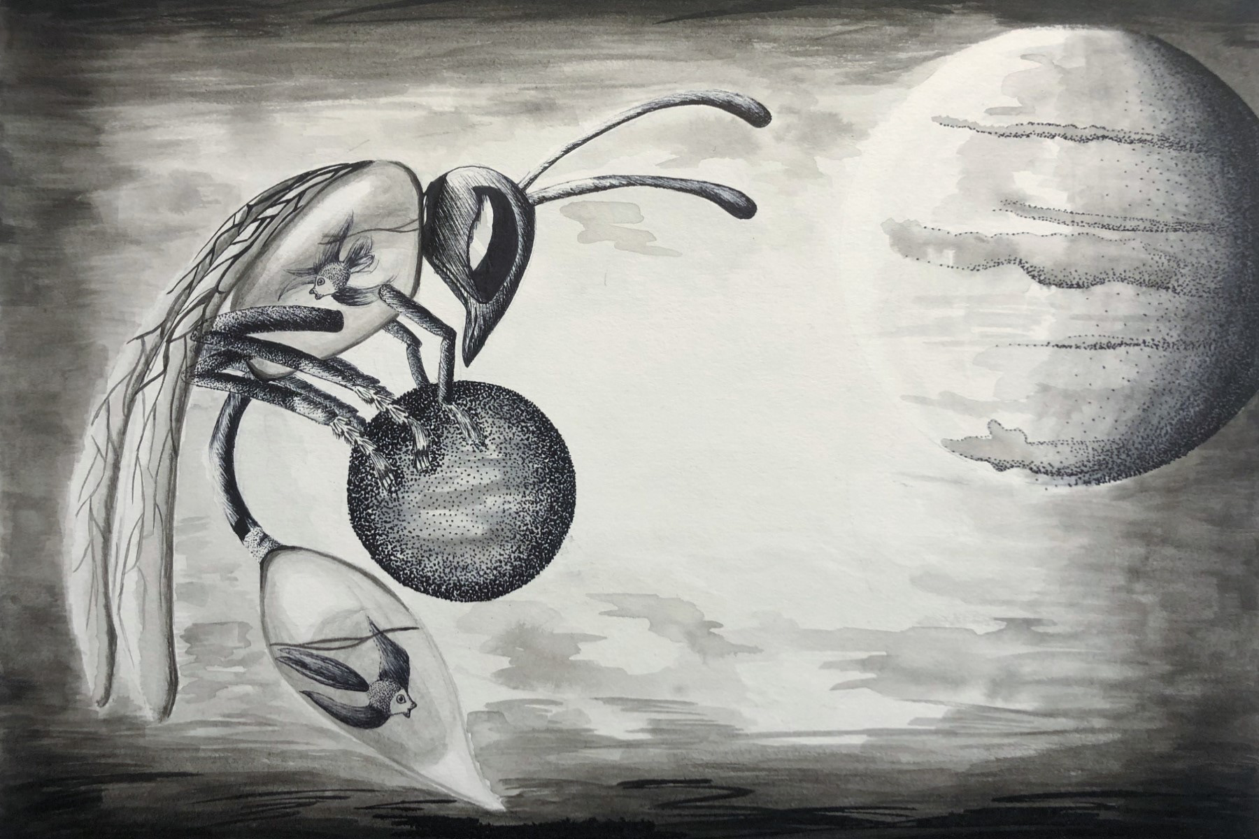 Wasp Aquarium - Jessica Kennah, MCC Student