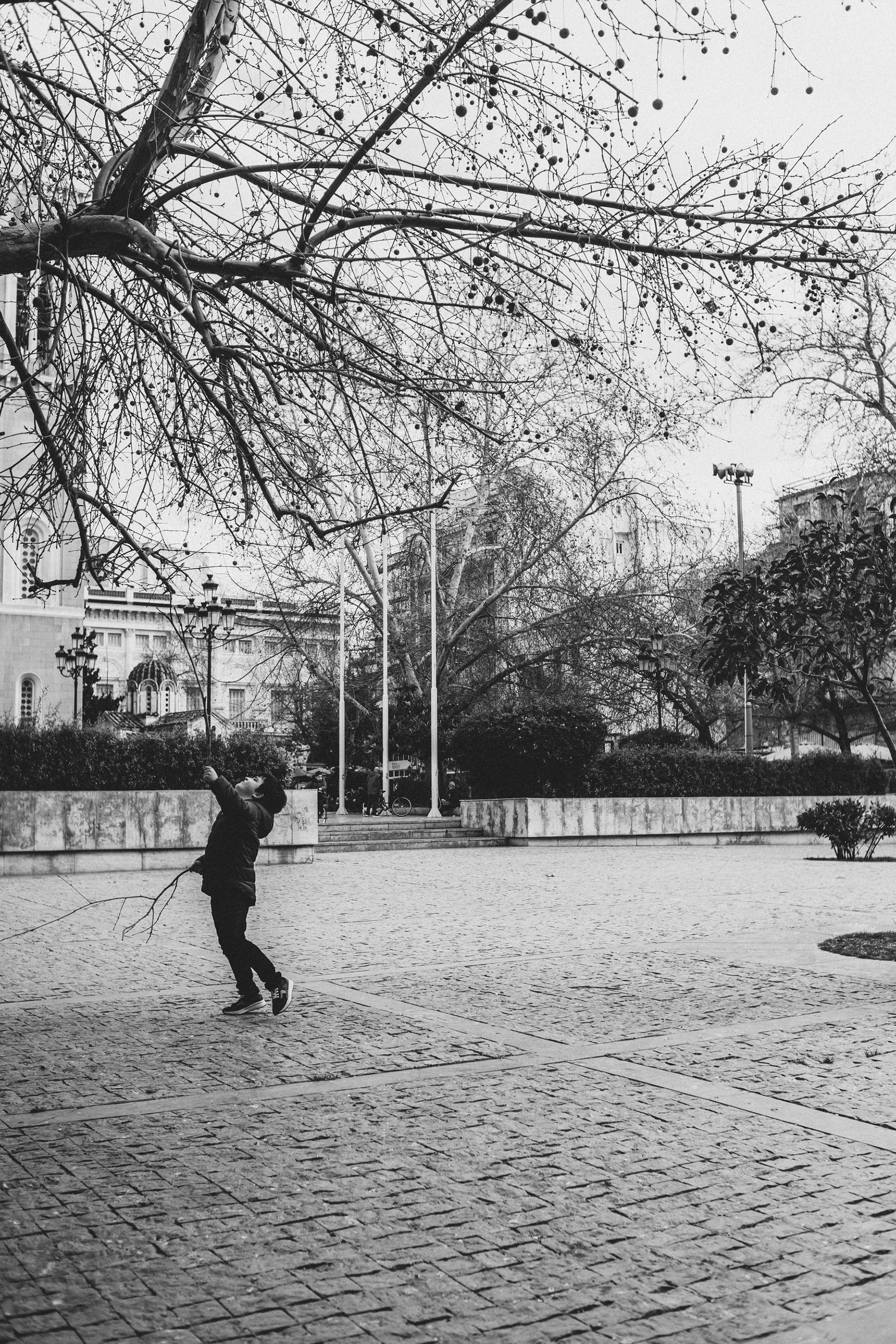 LeicaM10 x Elmarit28mm