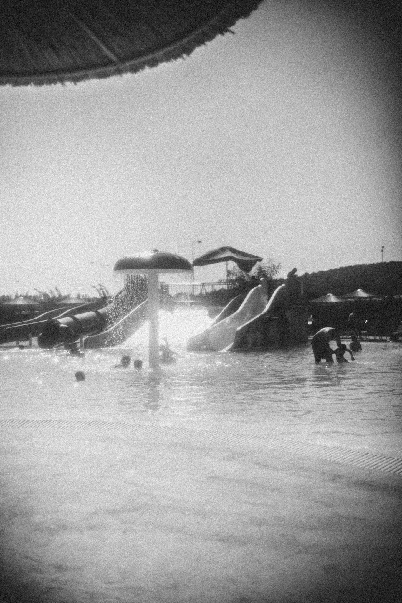 LeicaSL2-S x Summicron35mm x SoftFX