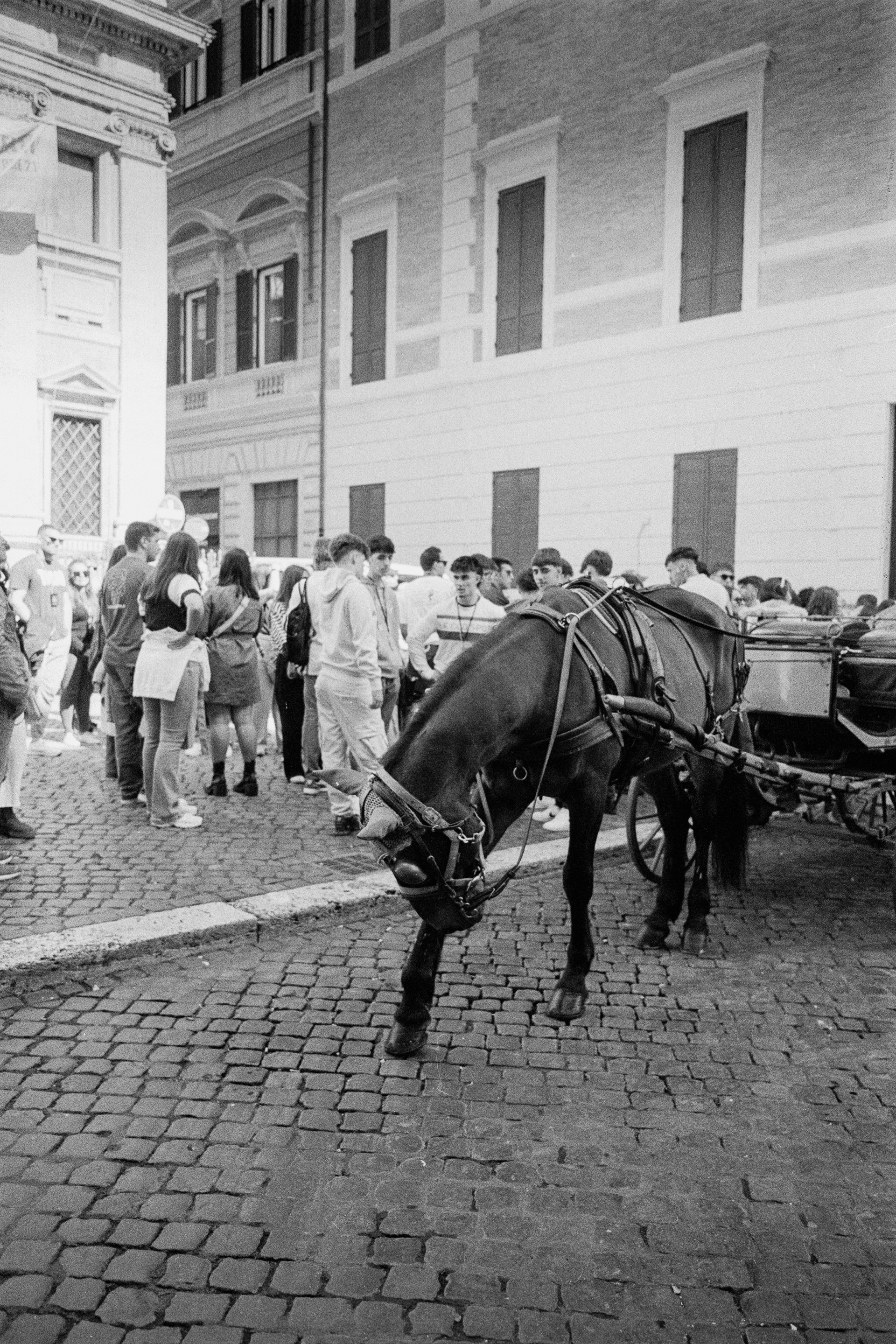 LeicaM6 x IlfordHP5400 x Elmarit28mm