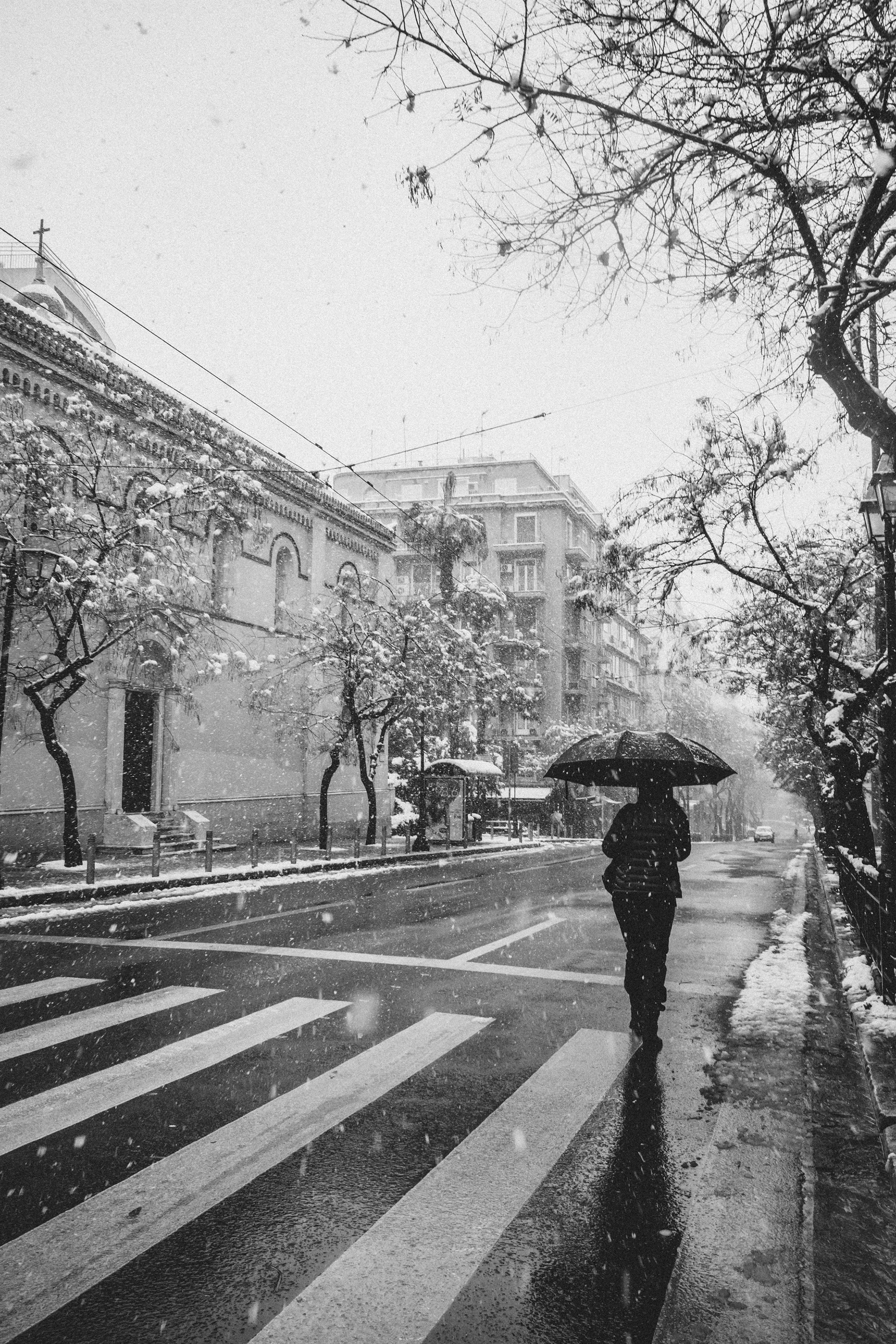 LeicaM10 x Summicron35mm