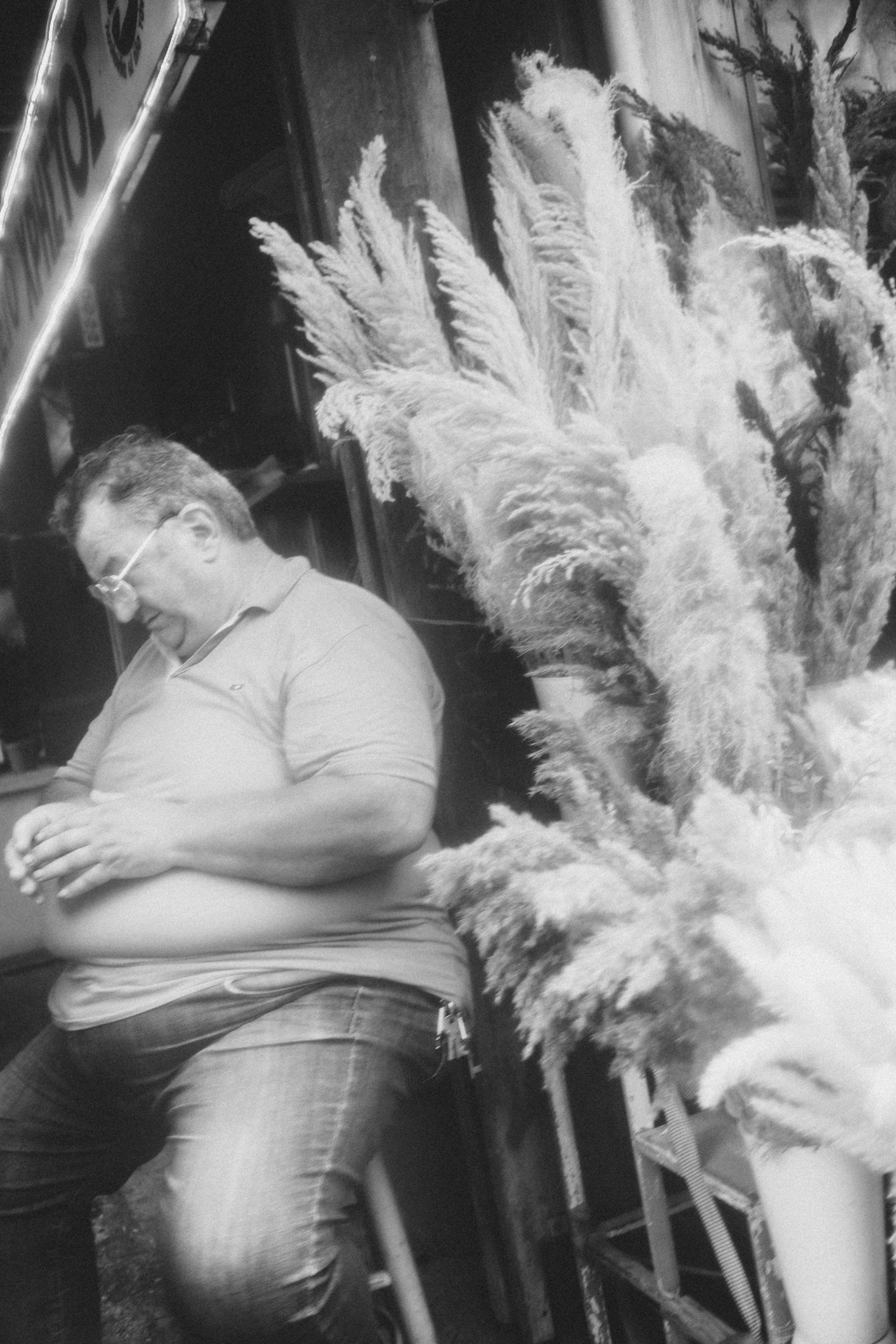 LeicaSL2-S x Summicron35mm x SoftFX