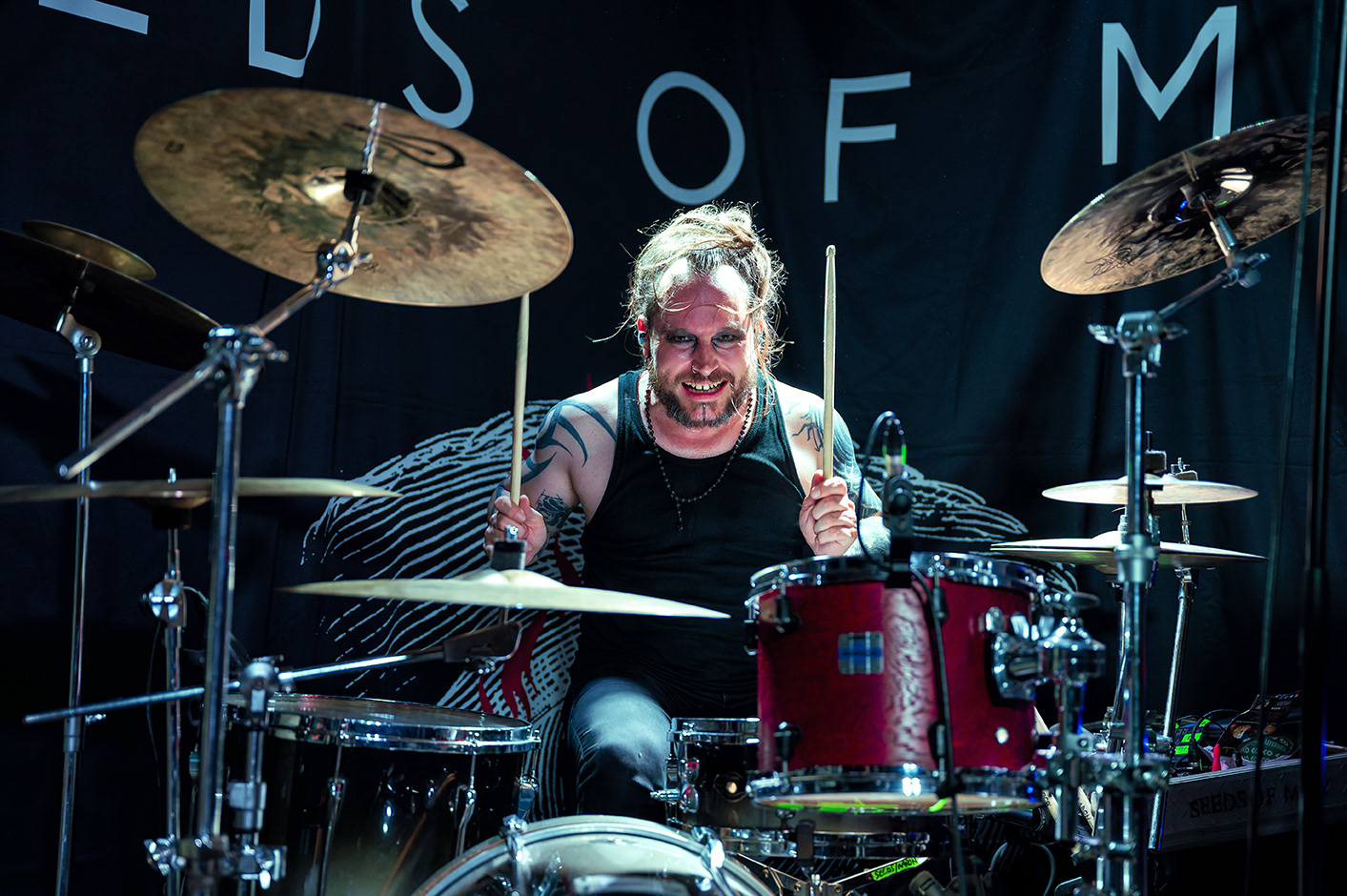 Aaron - Seeds of Mary