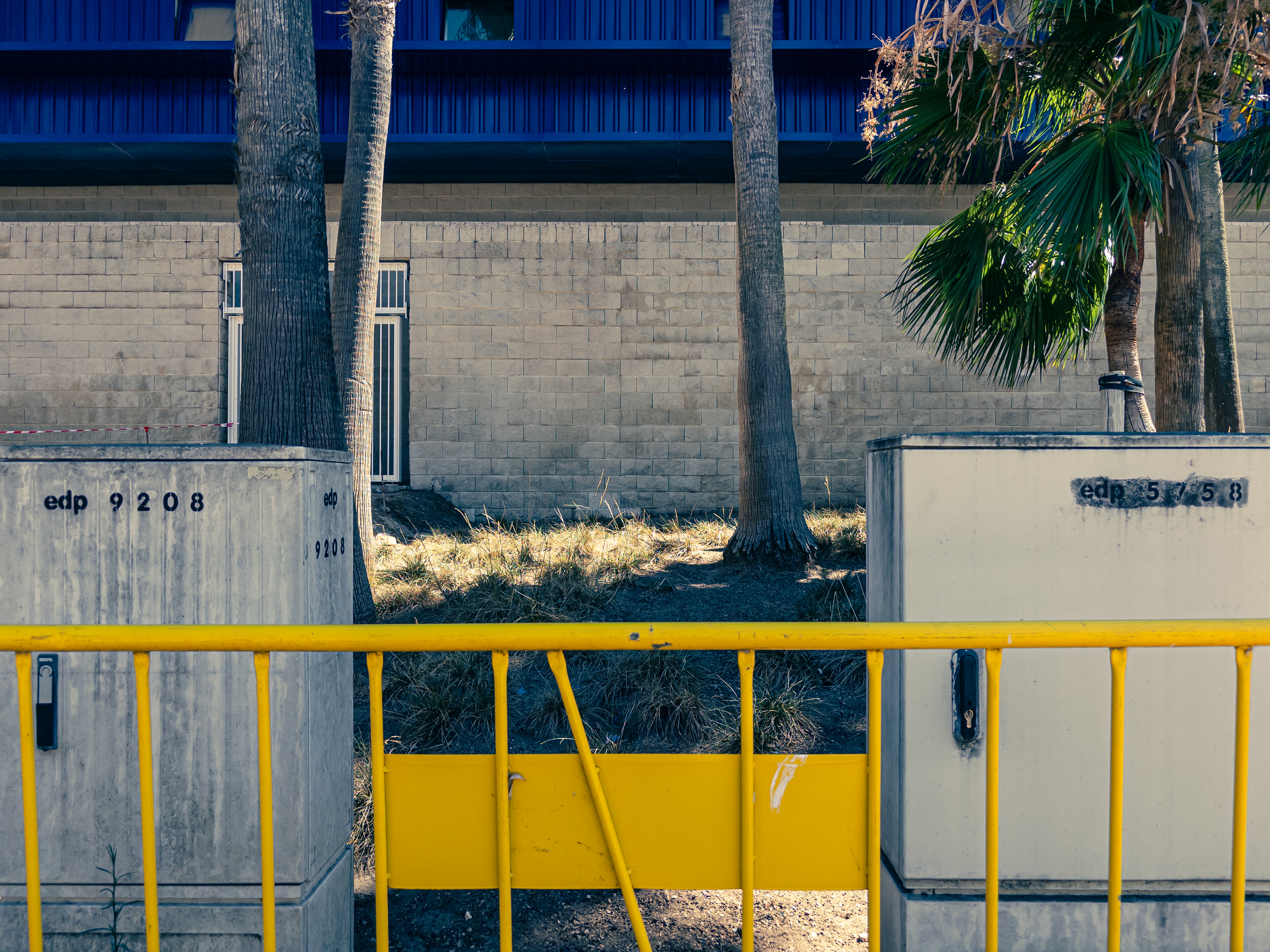 A yellow barrier stands in front of the trunks of palm trees and an office building in the Parque das Nações neighbourhood in central Lisbon