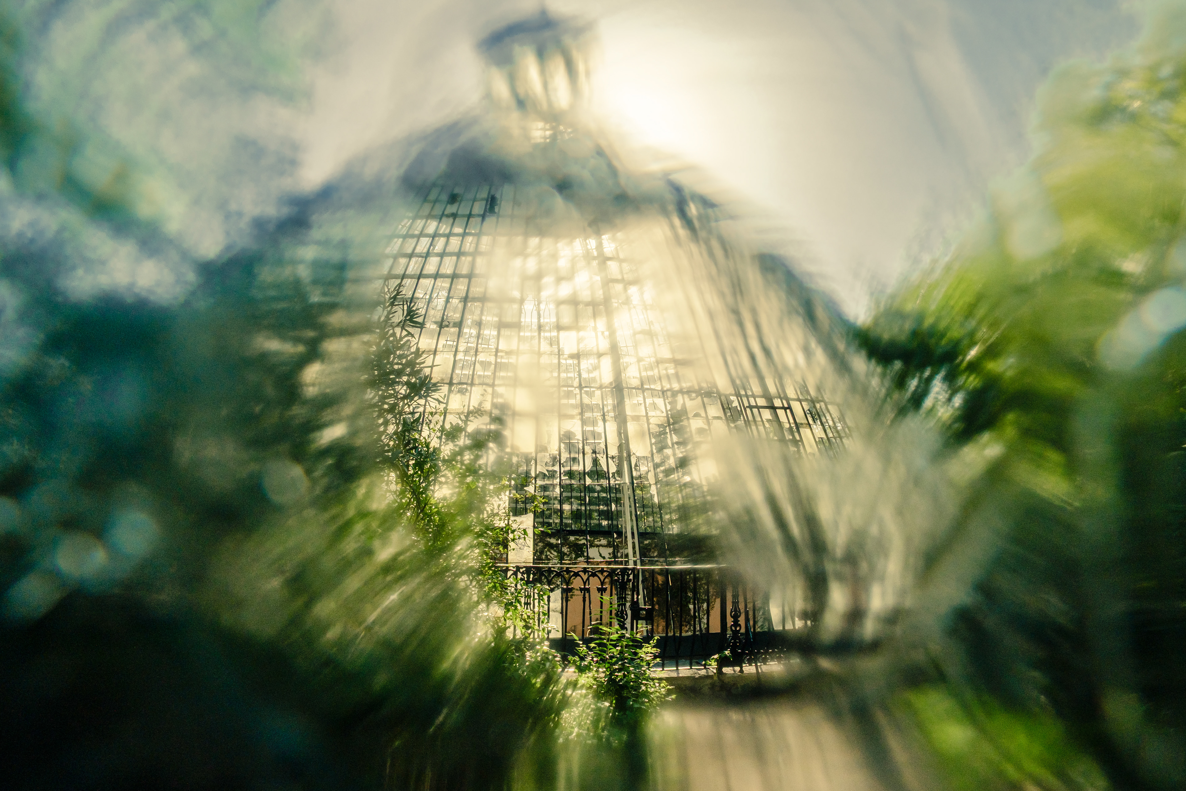 An intentionnally blurry view of a greenhouse in the Parque das Necessidades in central Lisbon