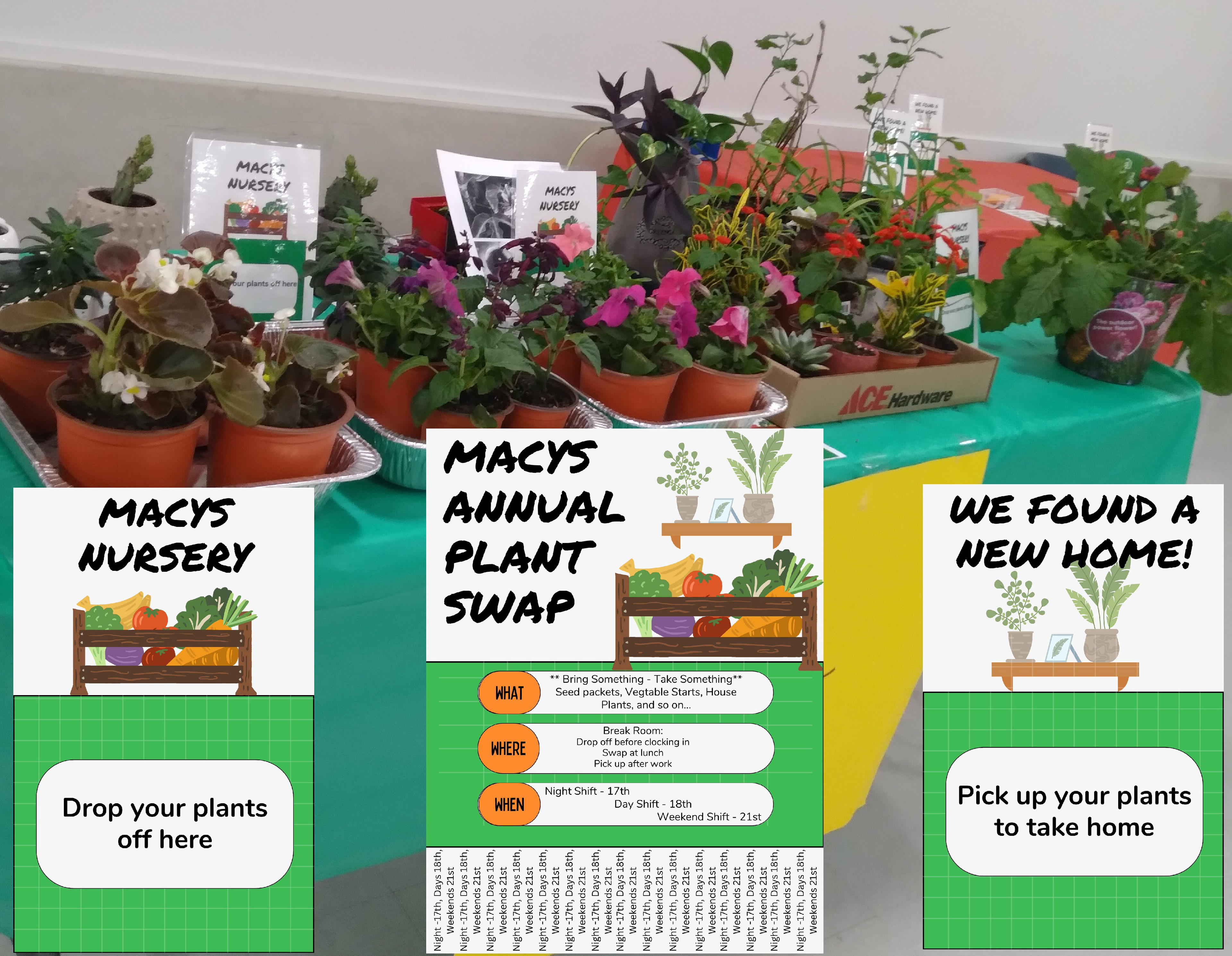 Plant Swap: designed and organized by yours truly