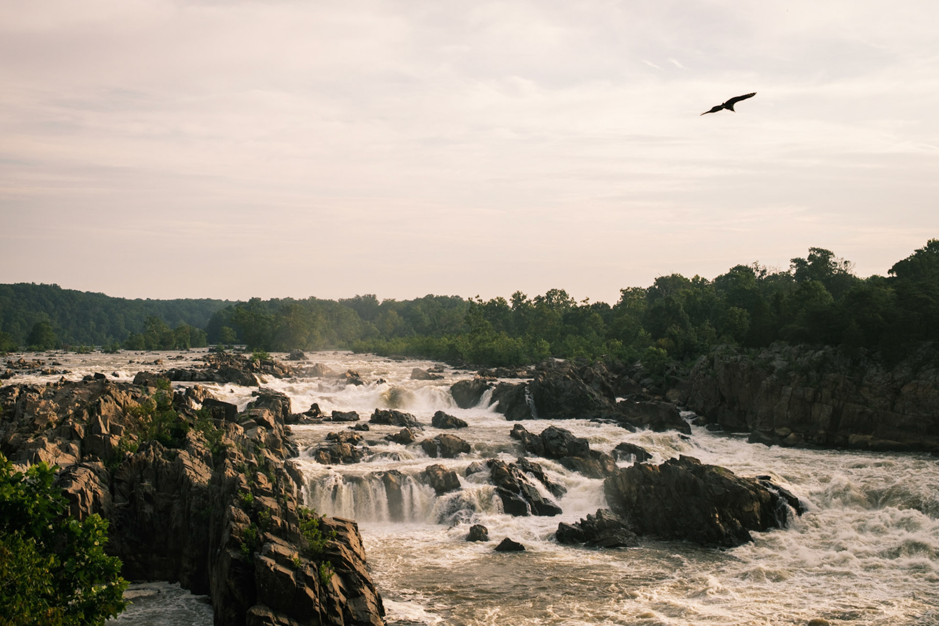 Great Falls, VA