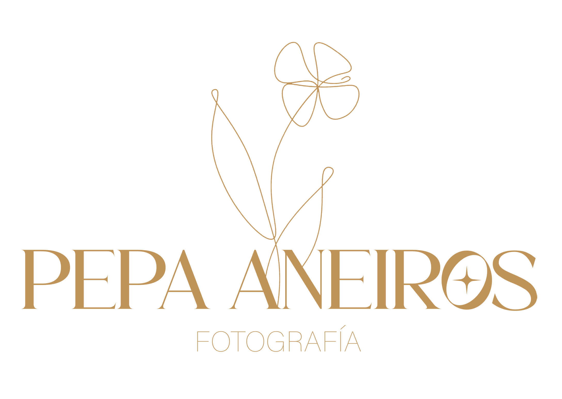 Pepa Nuñez Aneiros