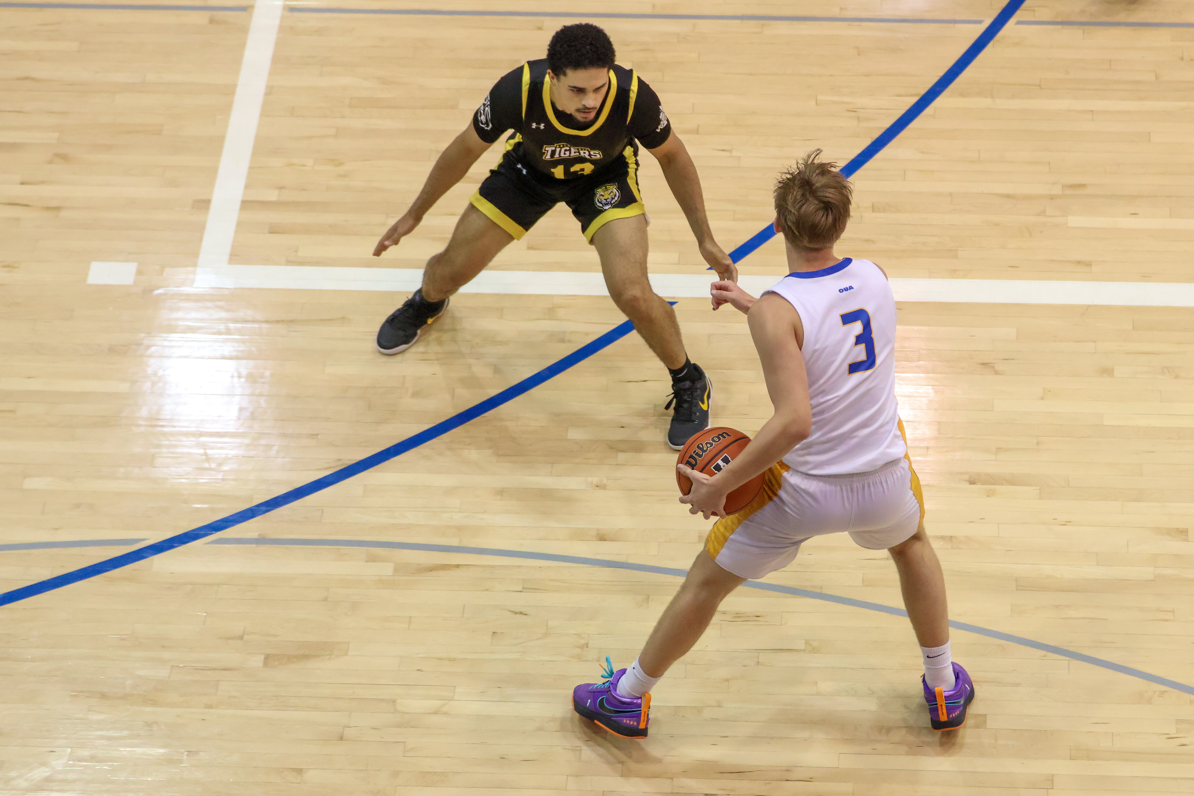 OCTOBER 10, 2025 - TMU BOLD V DALHOUSIE TIGERS