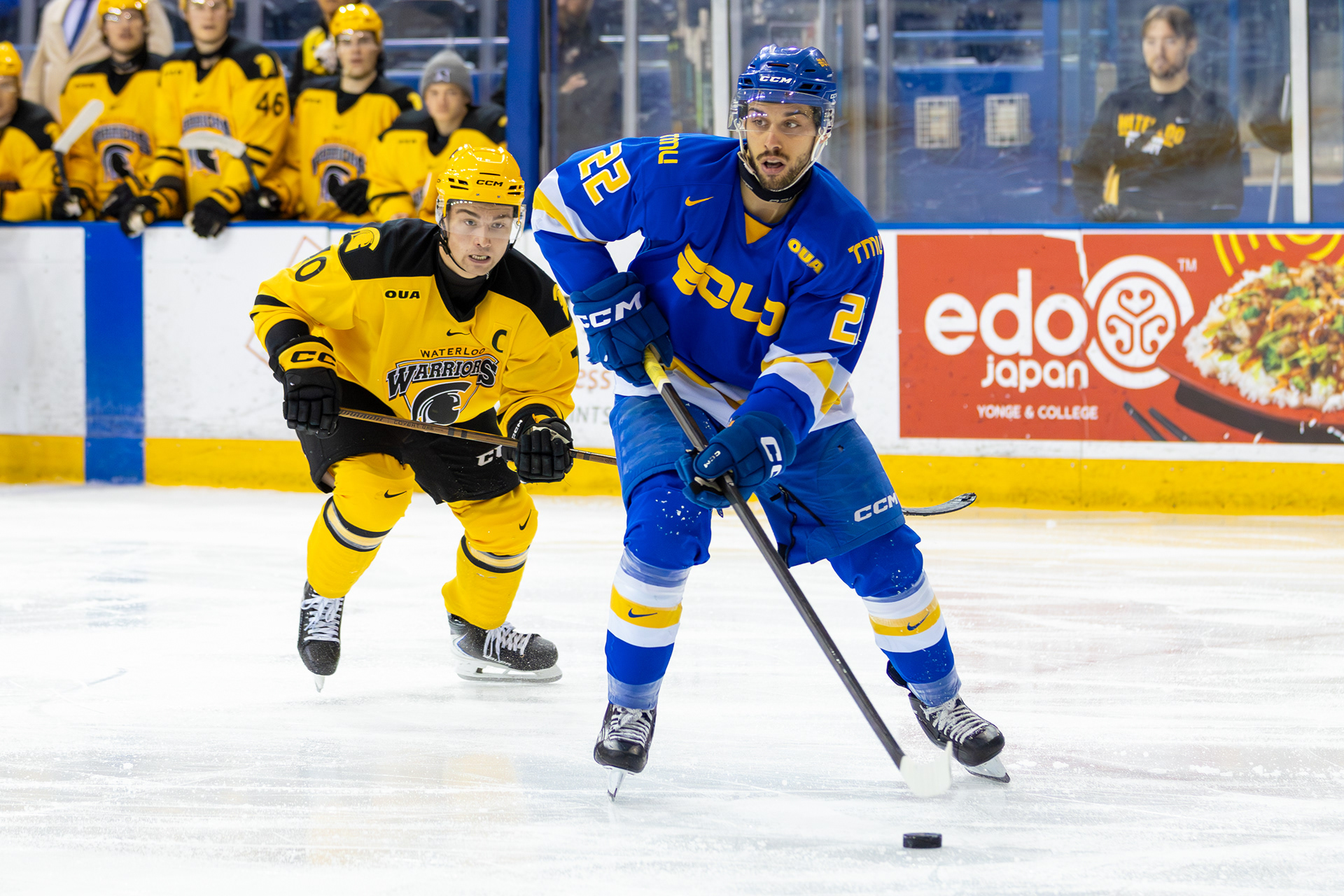 NOVEMBER 28, 2025 - TMU BOLD V WATERLOO WARRIORS