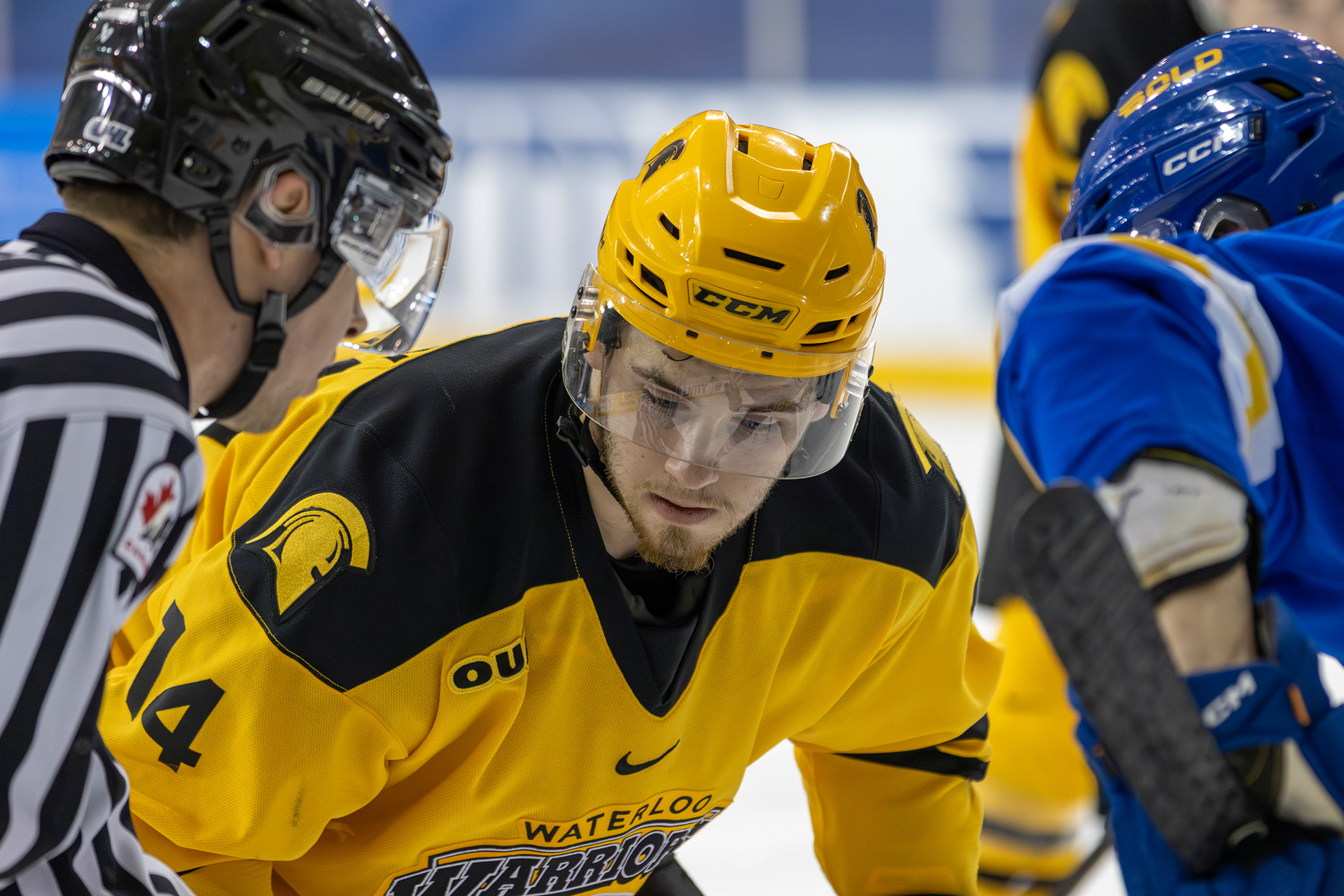 NOVEMBER 28, 2025 - TMU BOLD V WATERLOO WARRIORS