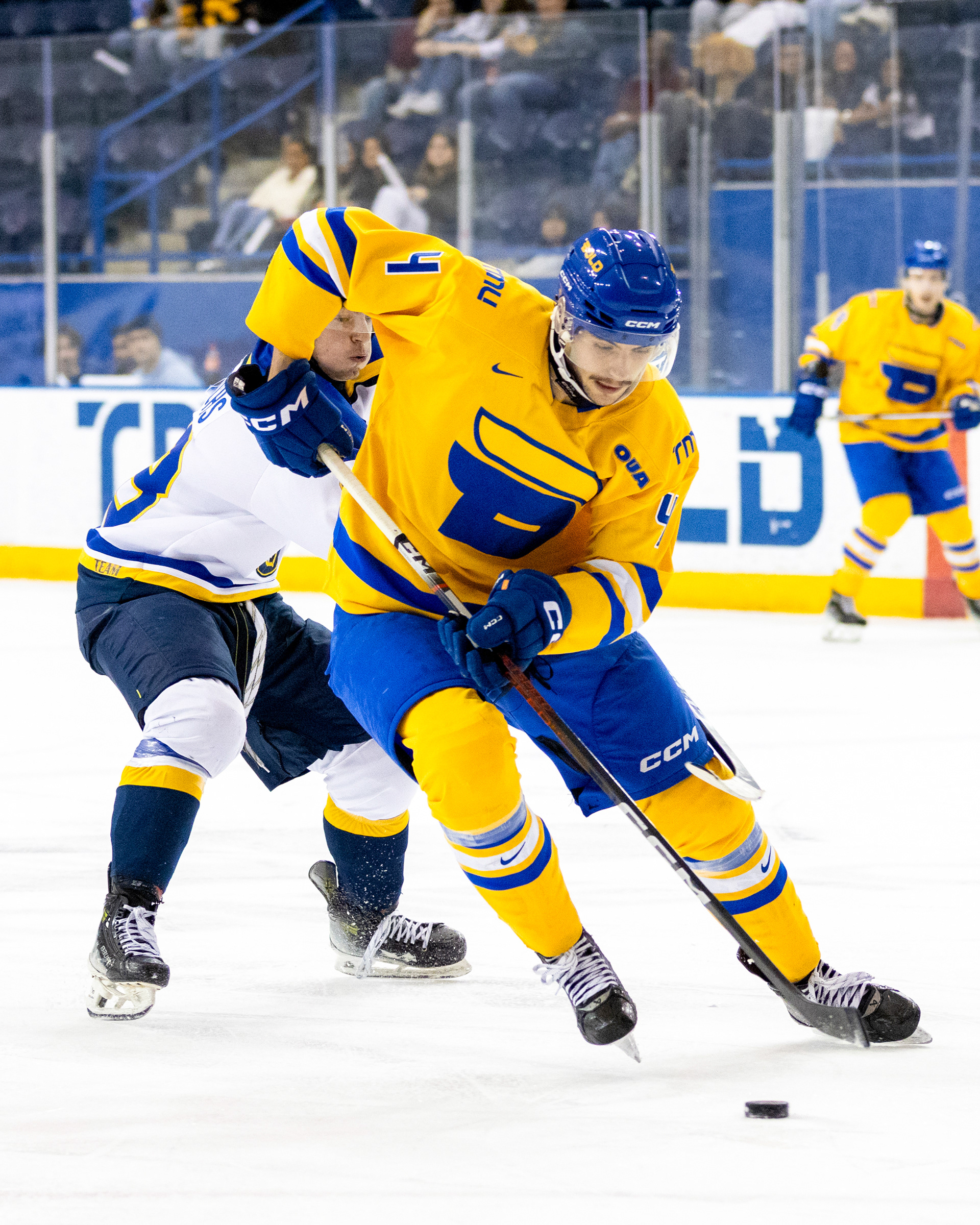 NOVEMBER 21, 2025 - TMU BOLD V LAKEHEAD THUNDERWOLVES