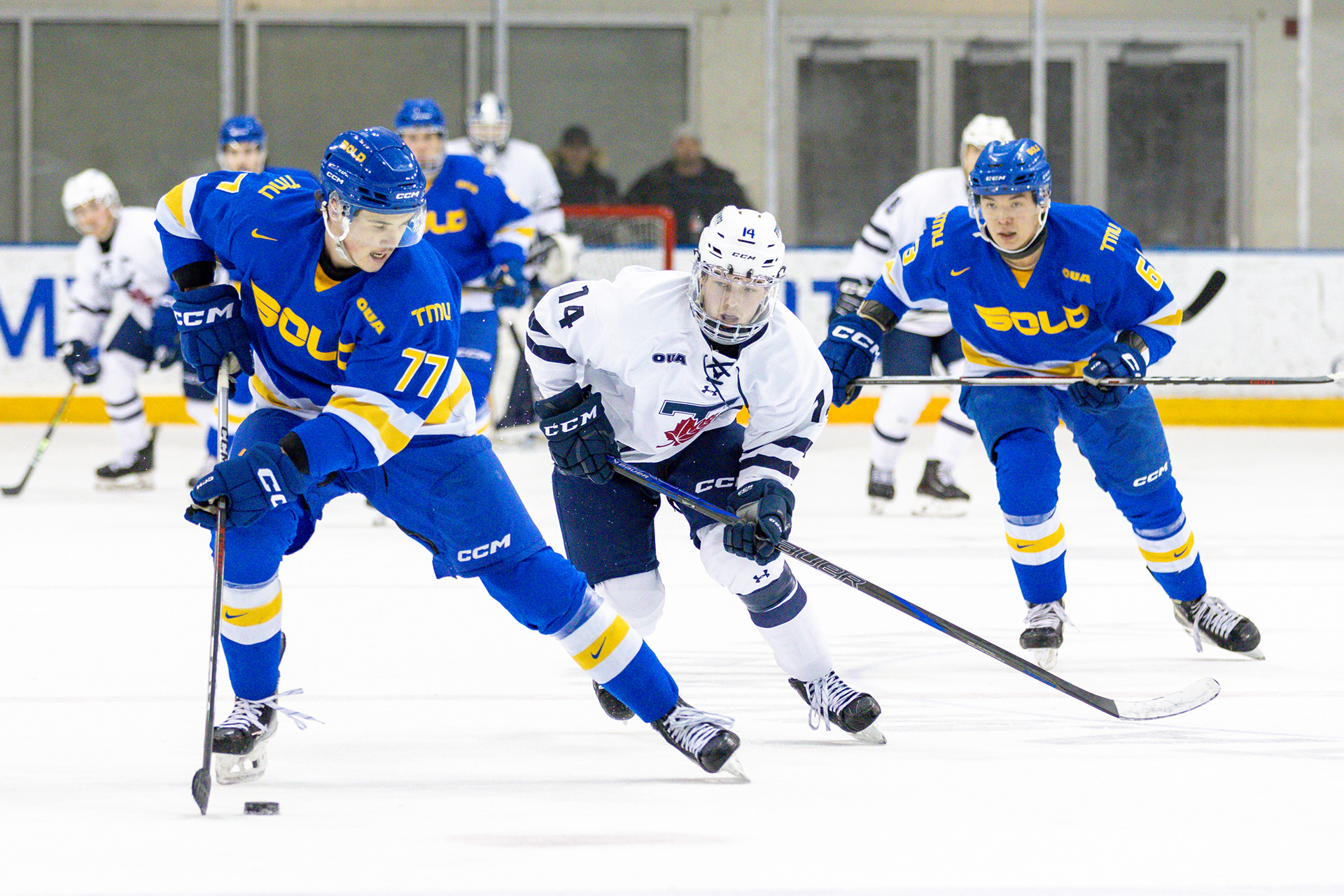 JANUARY 10, 2026 - TMU BOLD V UofT VARSITY BLUES