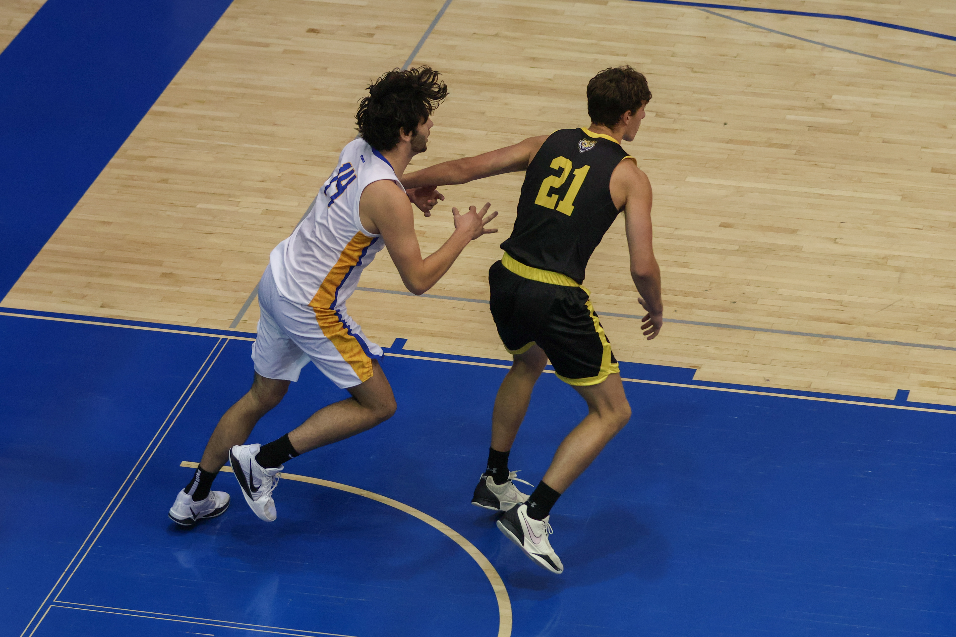 OCTOBER 10, 2025 - TMU BOLD V DALHOUSIE TIGERS