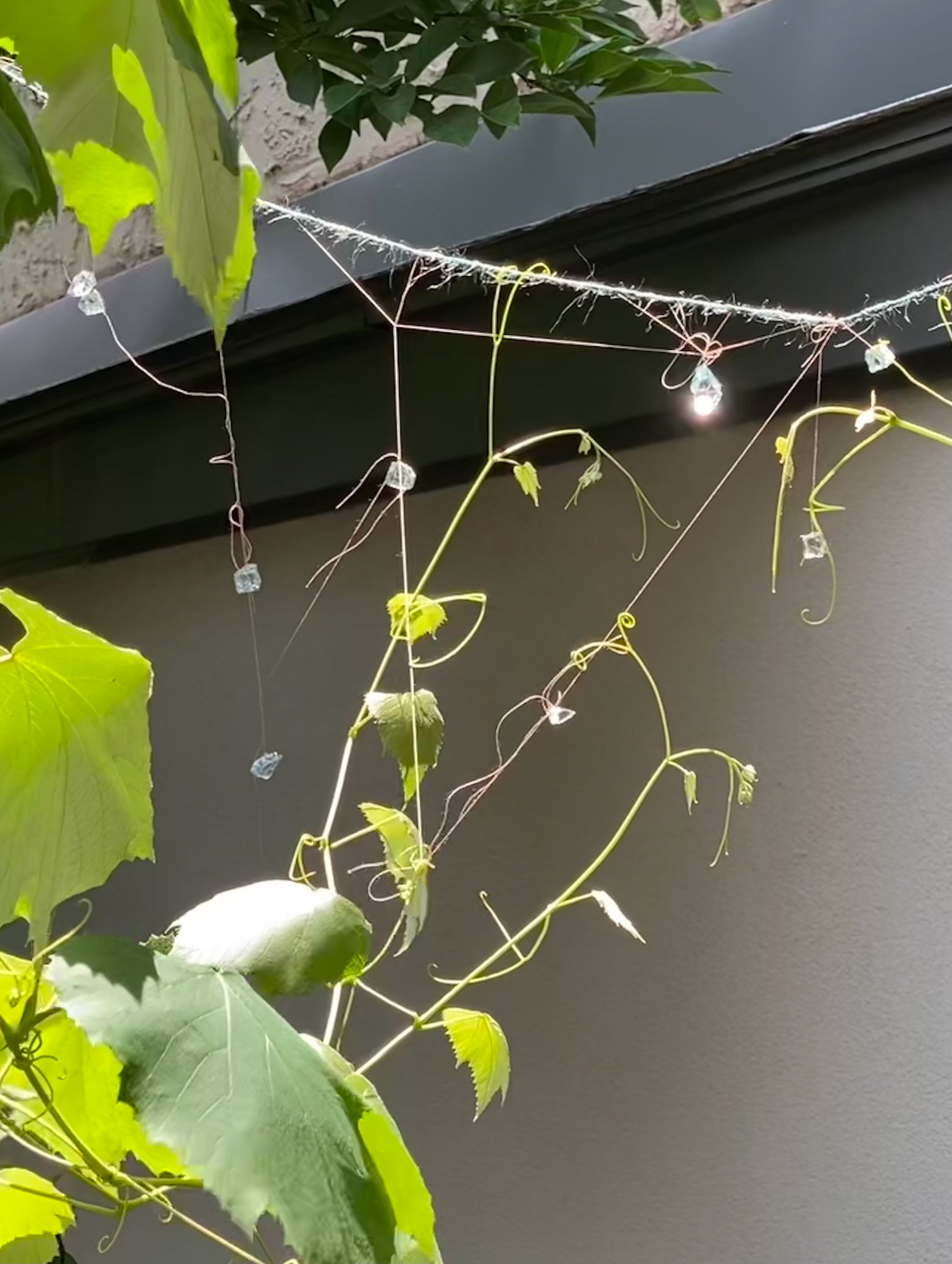 Image by © Mary-Angela Papalaskari