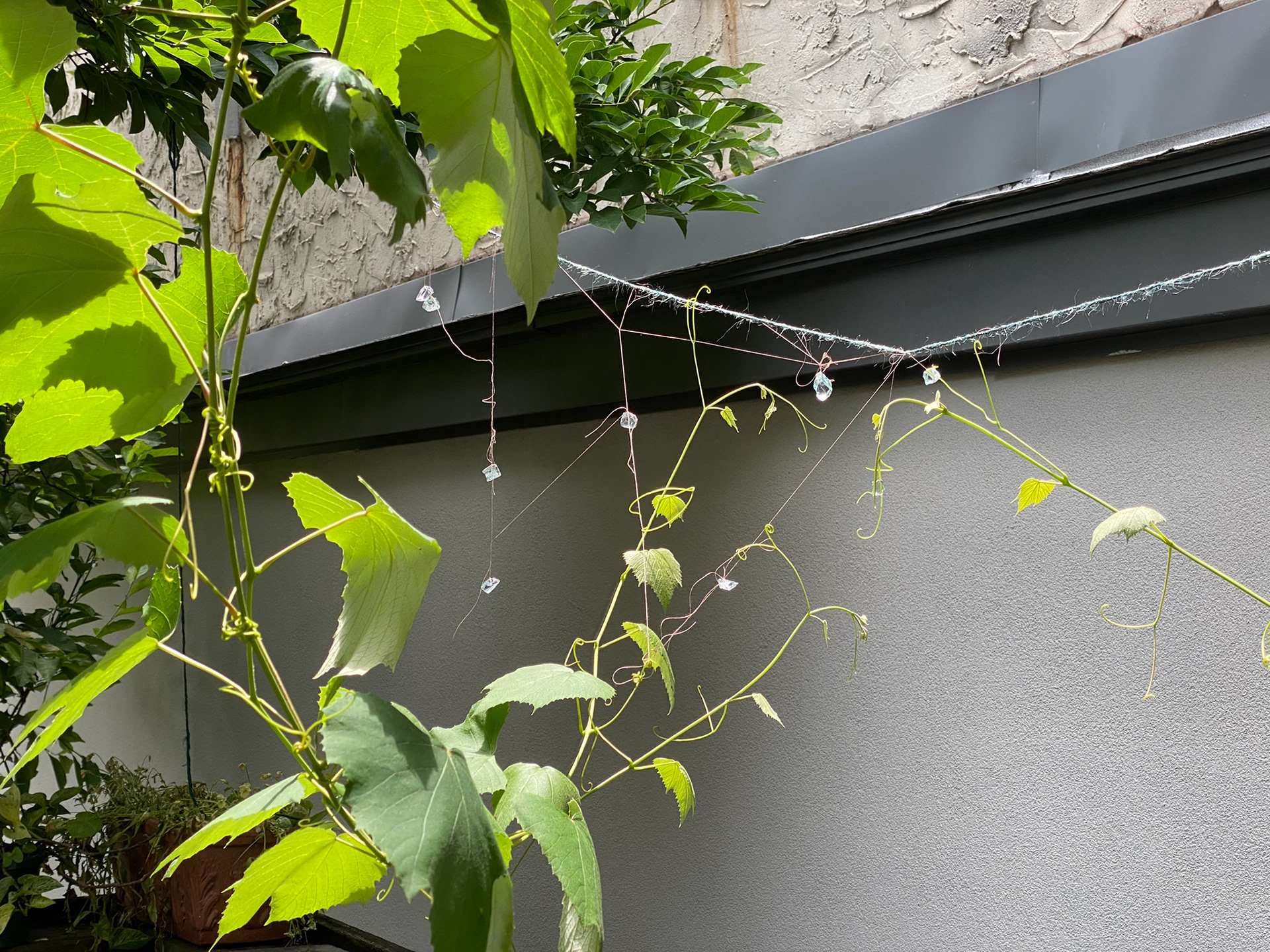 Image by © Mary-Angela Papalaskari