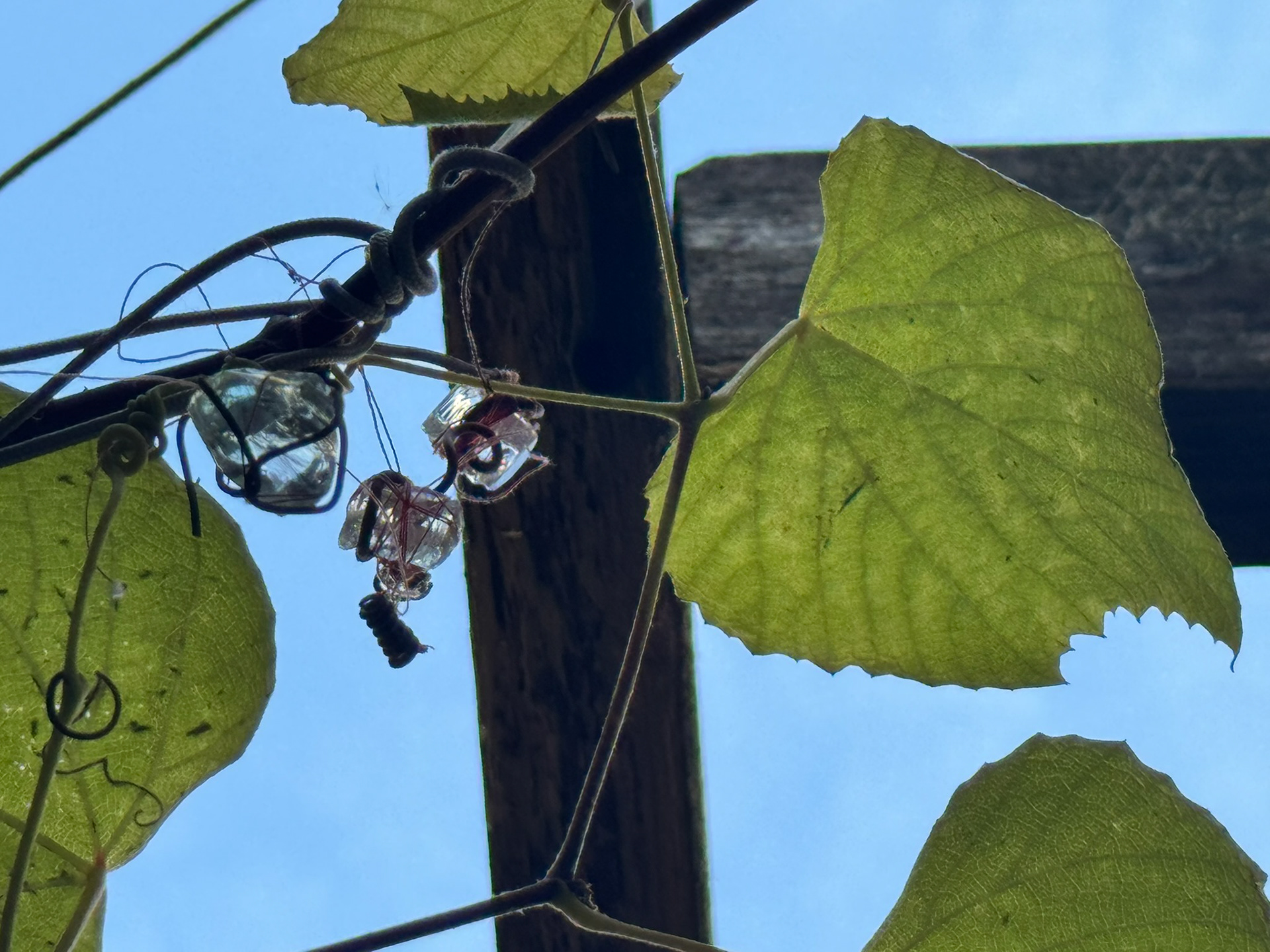 Image by © Mary-Angela Papalaskari