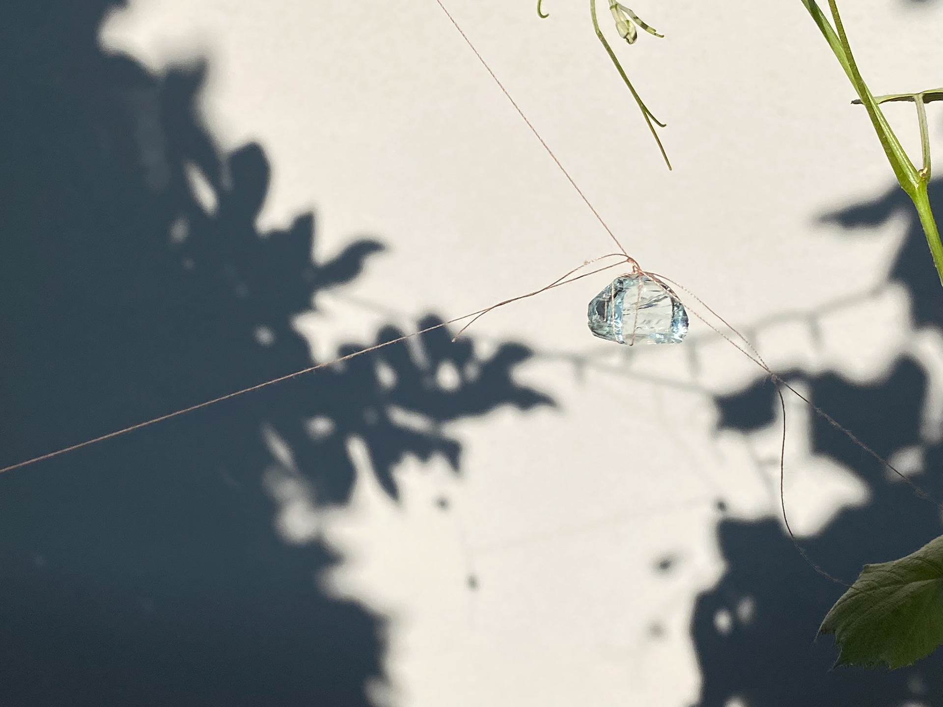 Image by © Mary-Angela Papalaskari