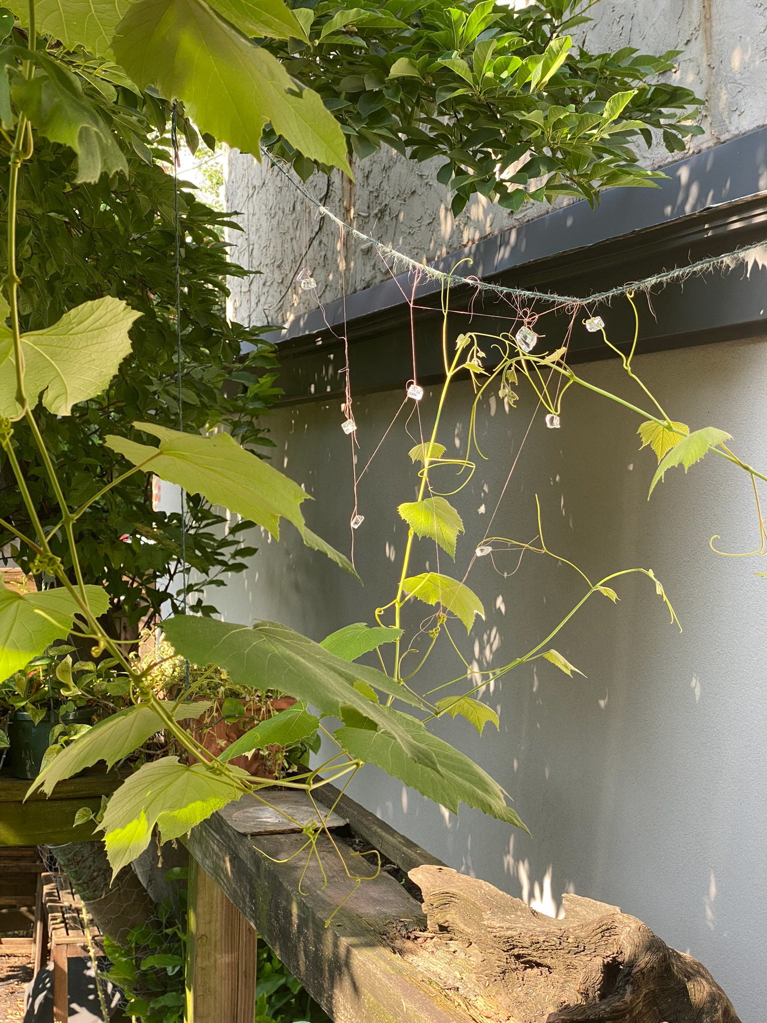 Image by © Mary-Angela Papalaskari