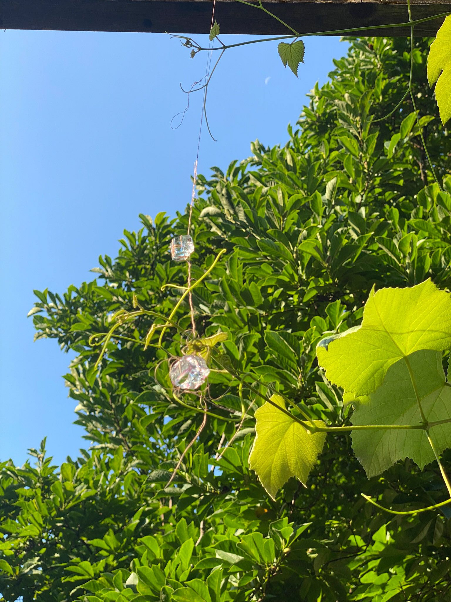 Image by © Mary-Angela Papalaskari