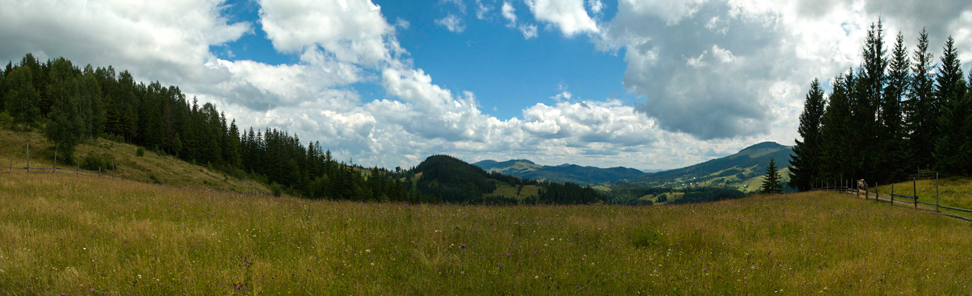 Stitched Panorama
