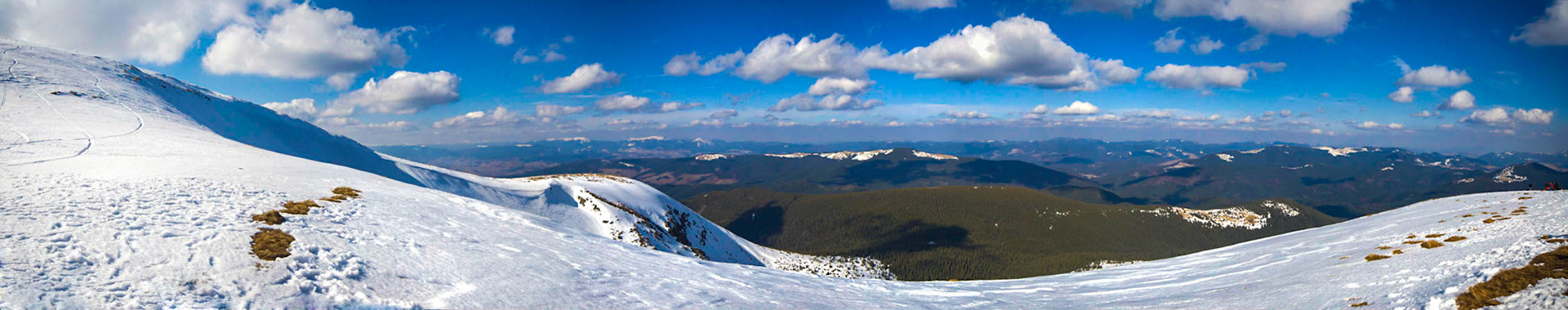 Stitched Panorama
