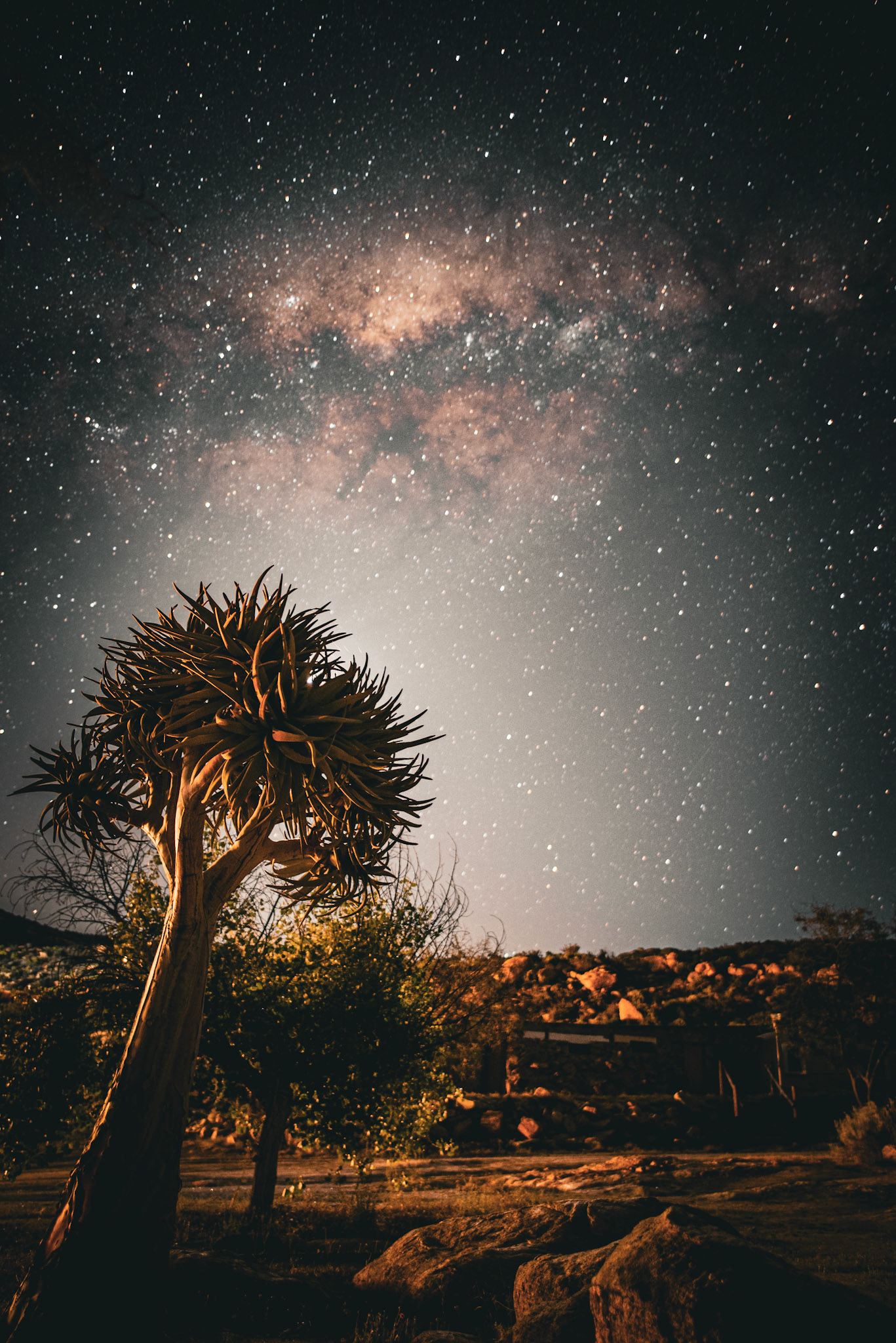 "Namastad Milky"