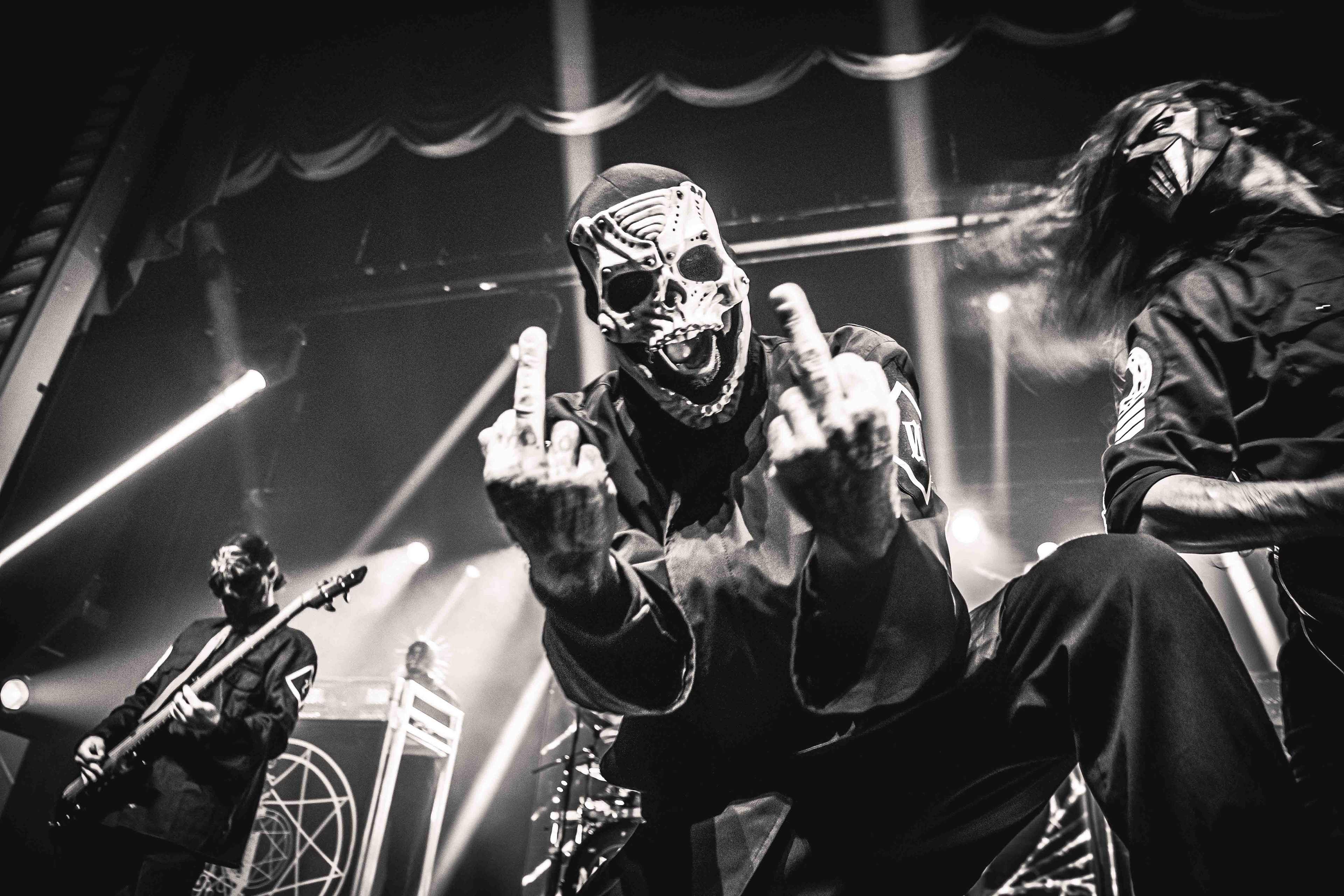 Maggots Mtl