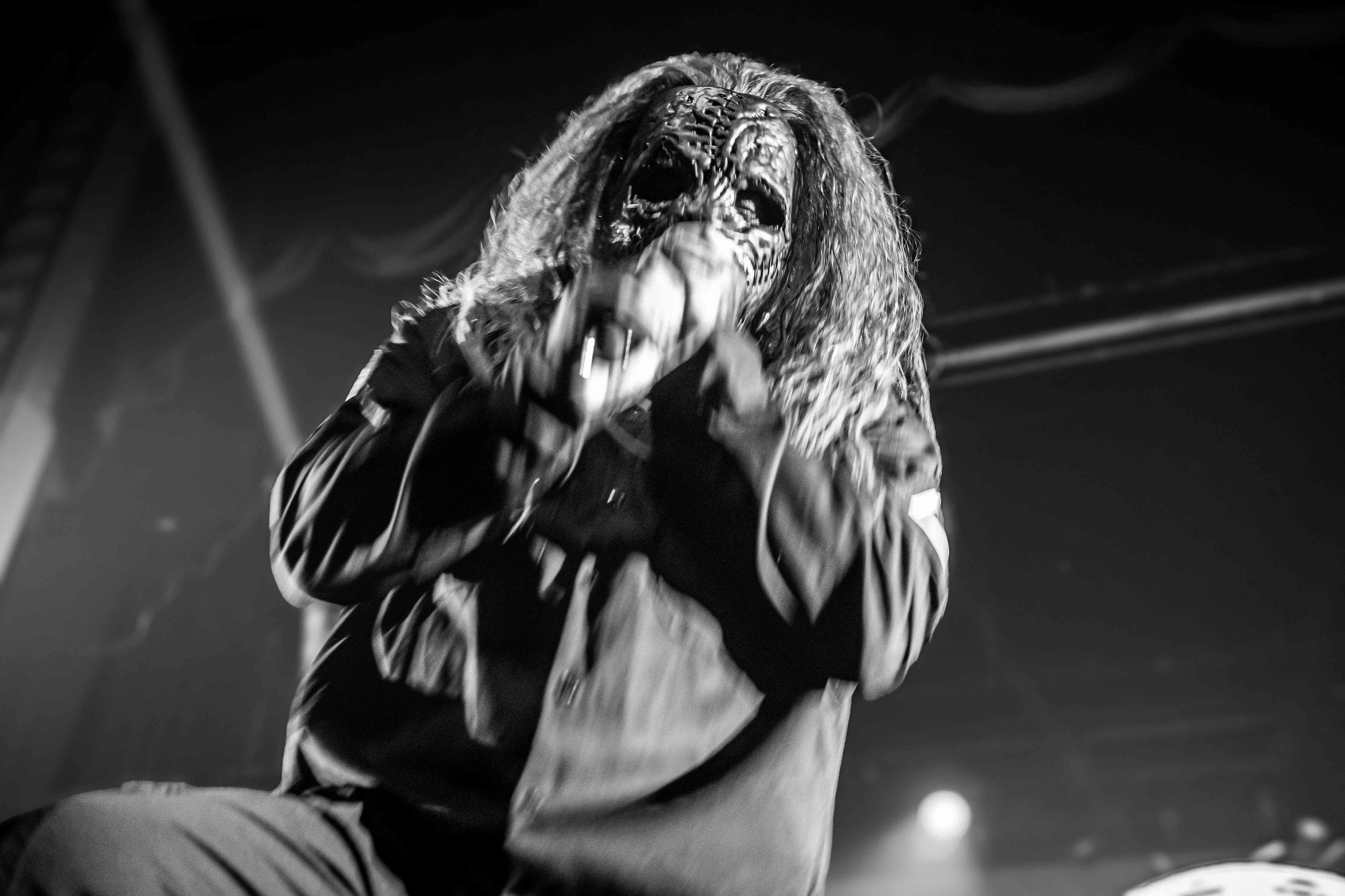 Maggots Mtl