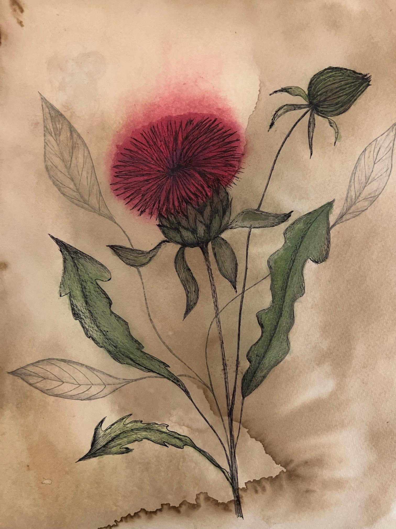 red flower painted on textured paper