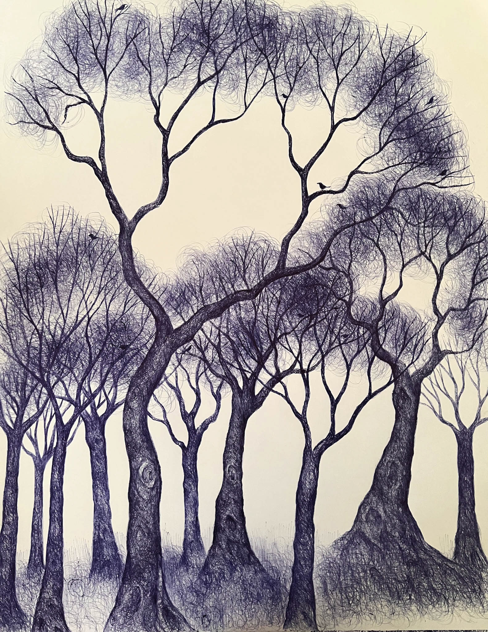 Pen drawing of trees in a forest on paper