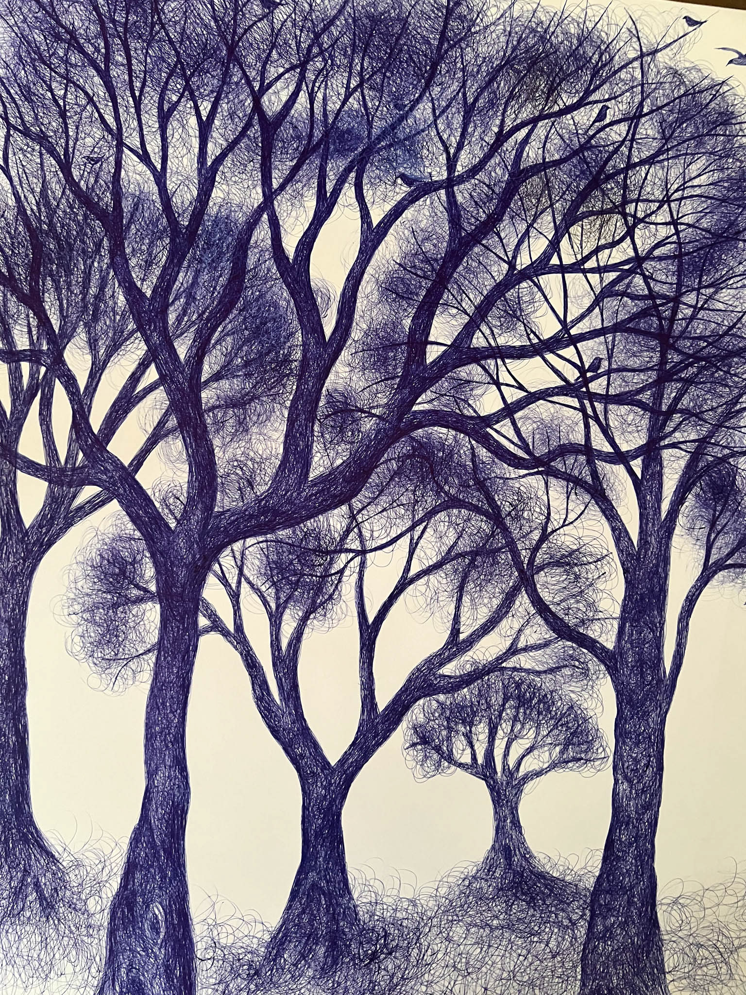 Pen drawing of trees in a forest on paper