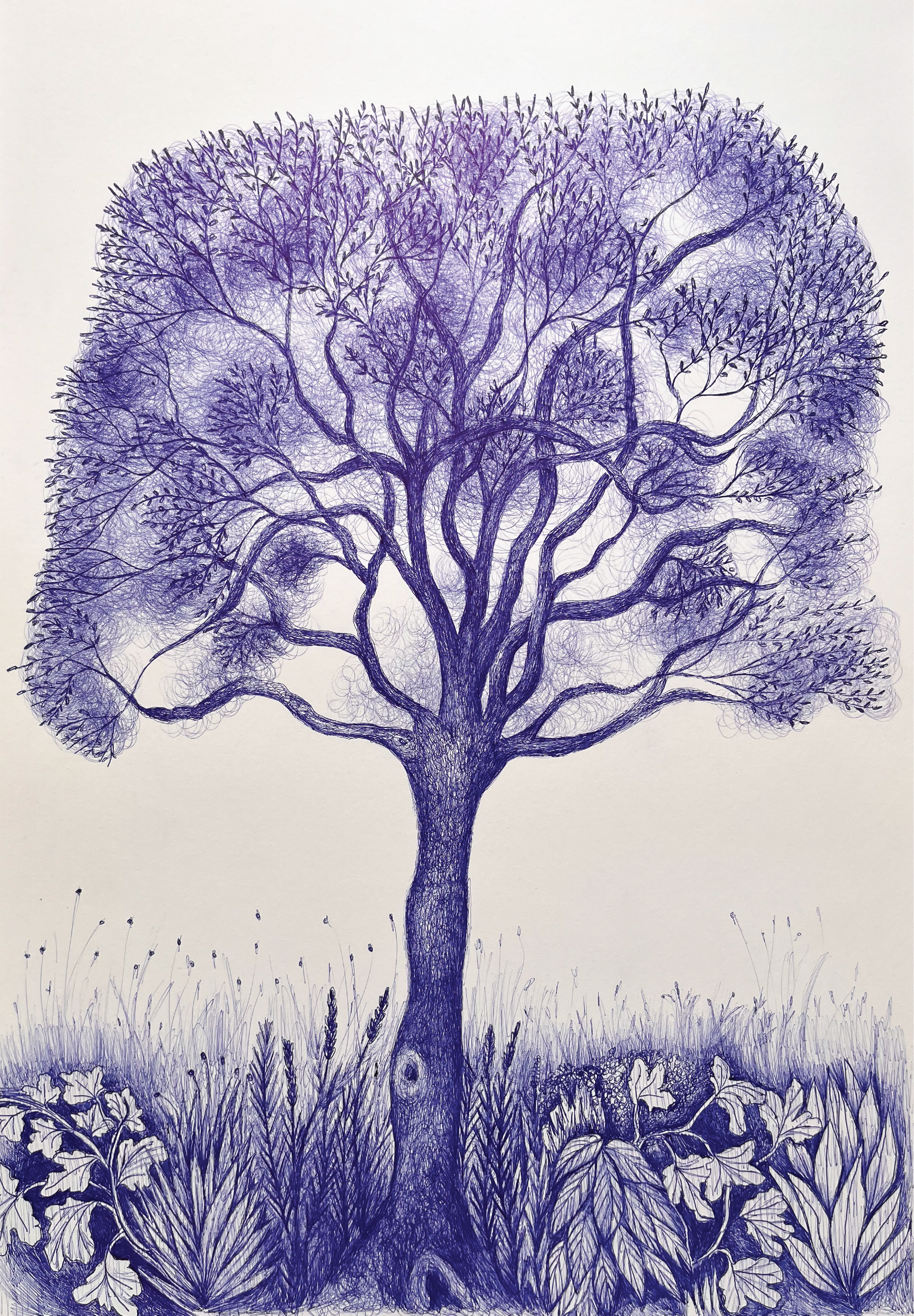Pen drawing of foliage on paper