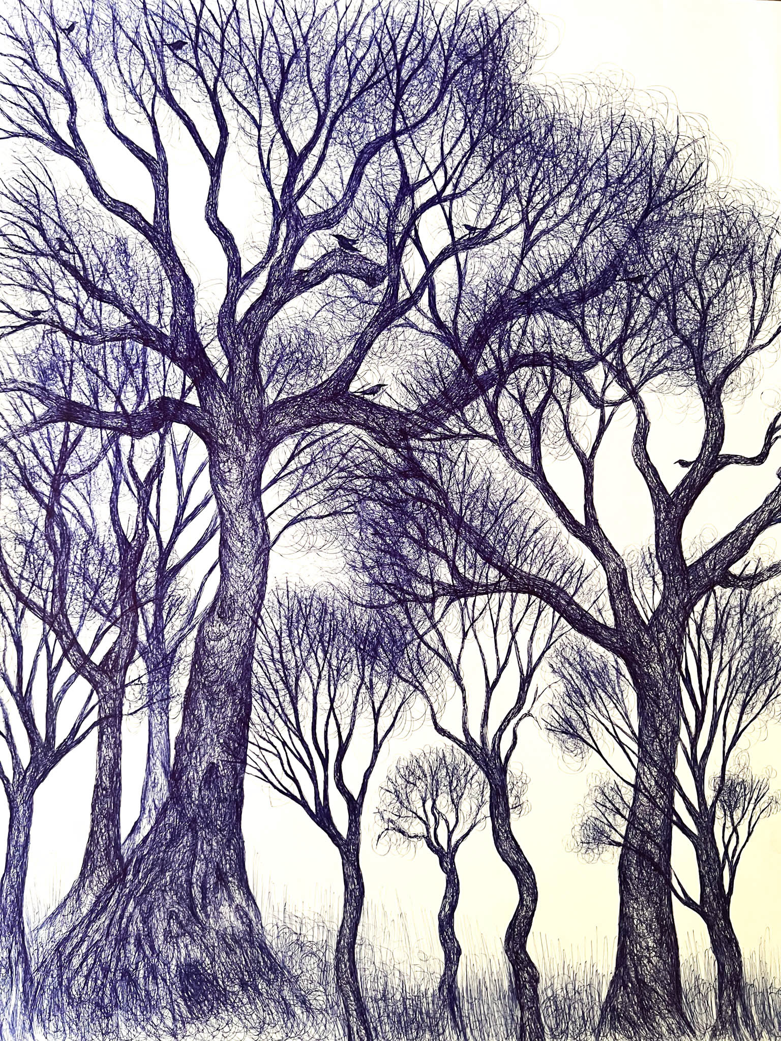 Pen drawing of trees on paper