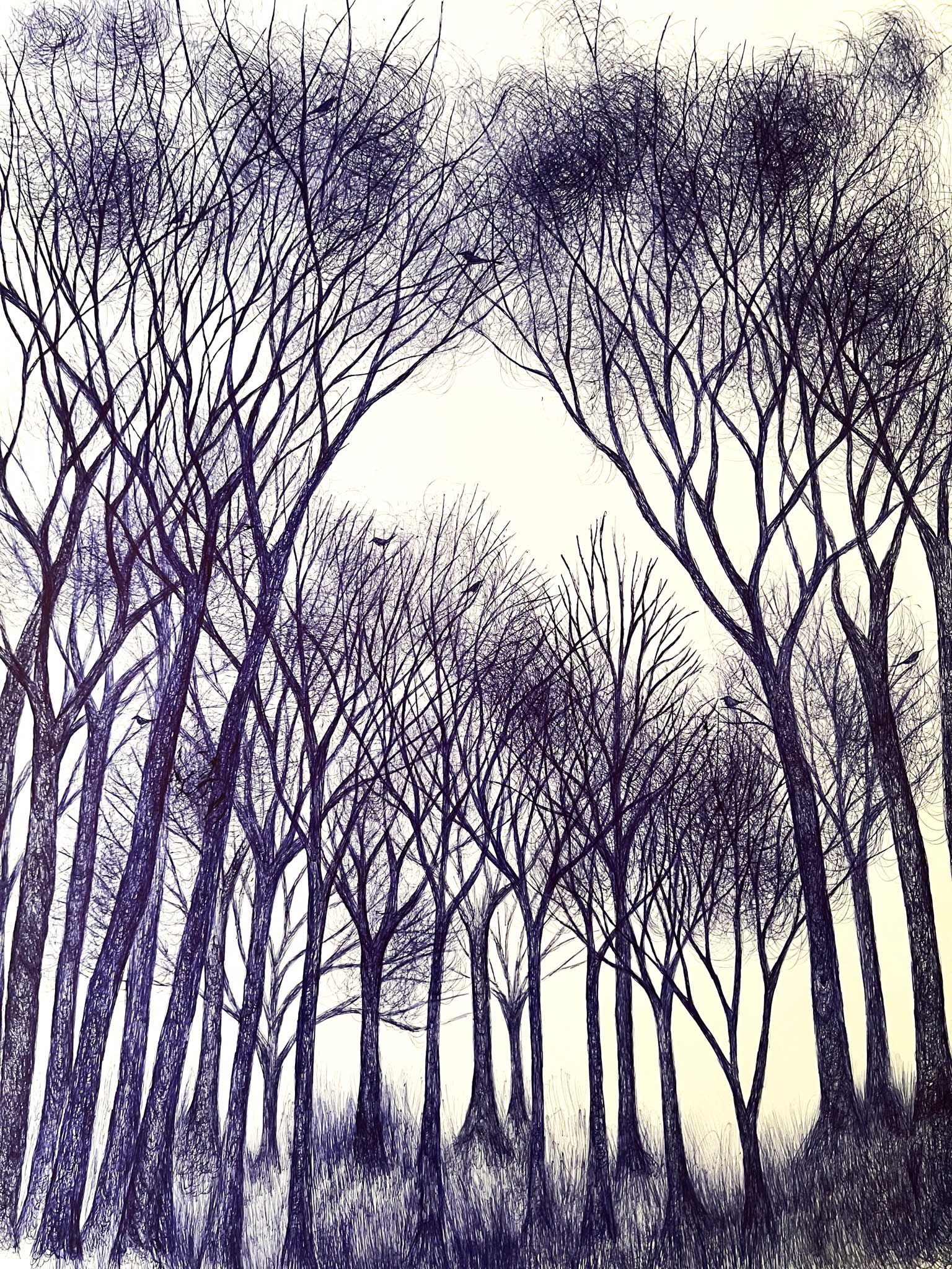 Pen drawing of trees in a forest on paper