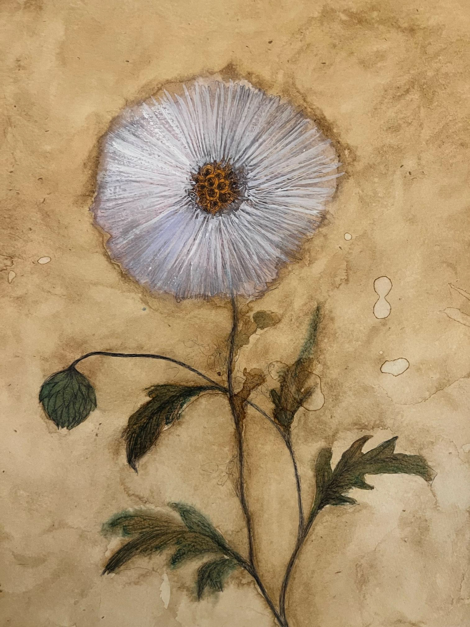 white flower painted on textured paper