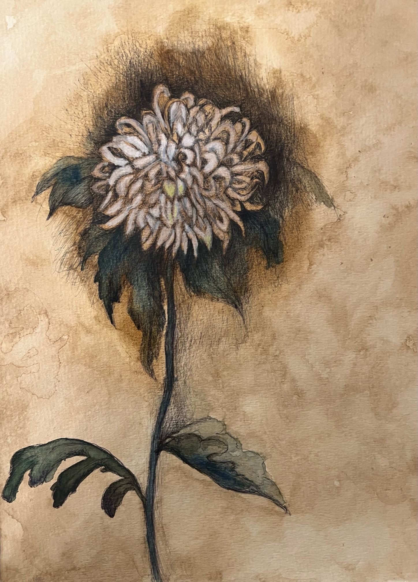 white flower painted on textured paper