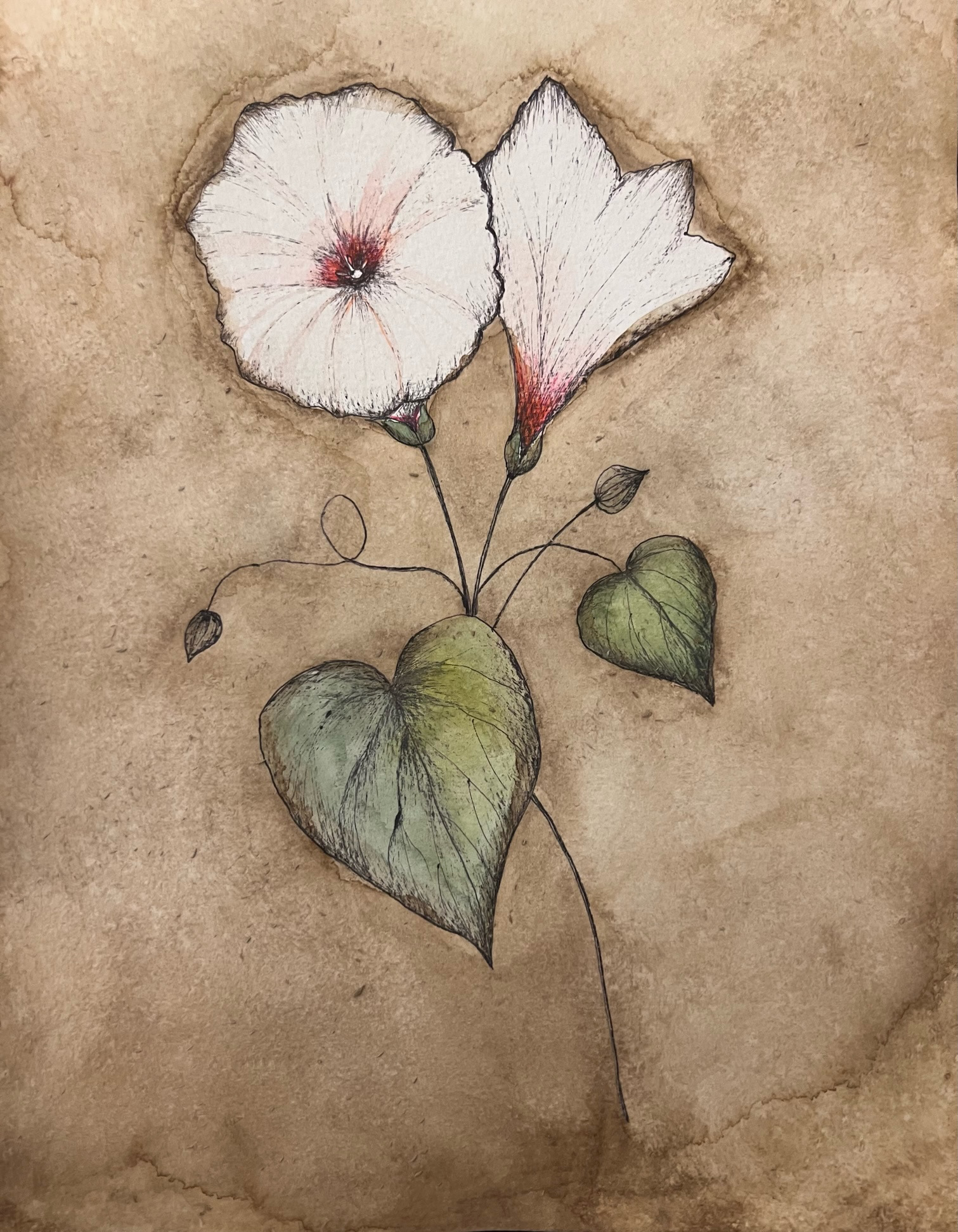 white flowers painted on textured paper