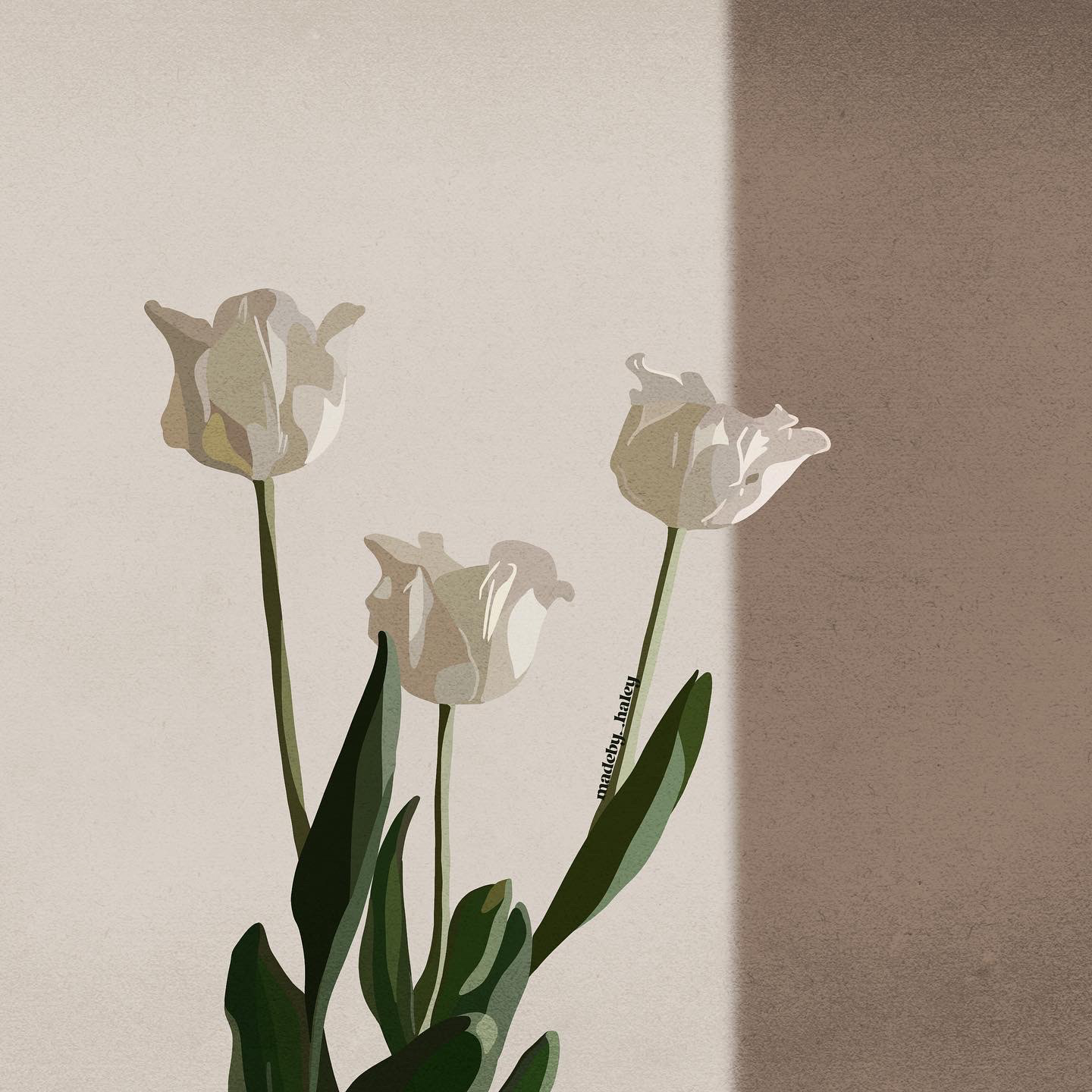 White Roses